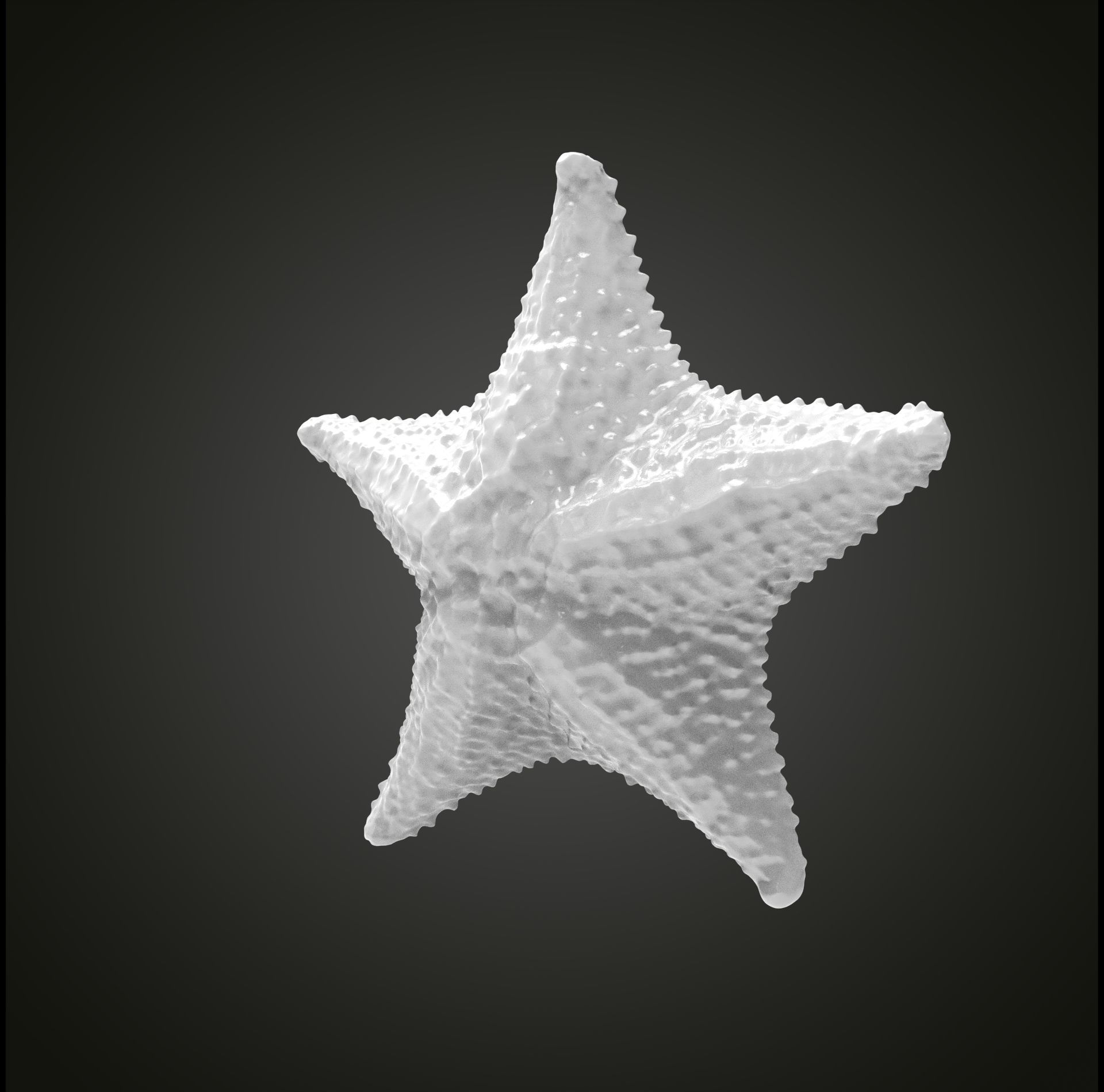 Starfish gold 3D print model_15