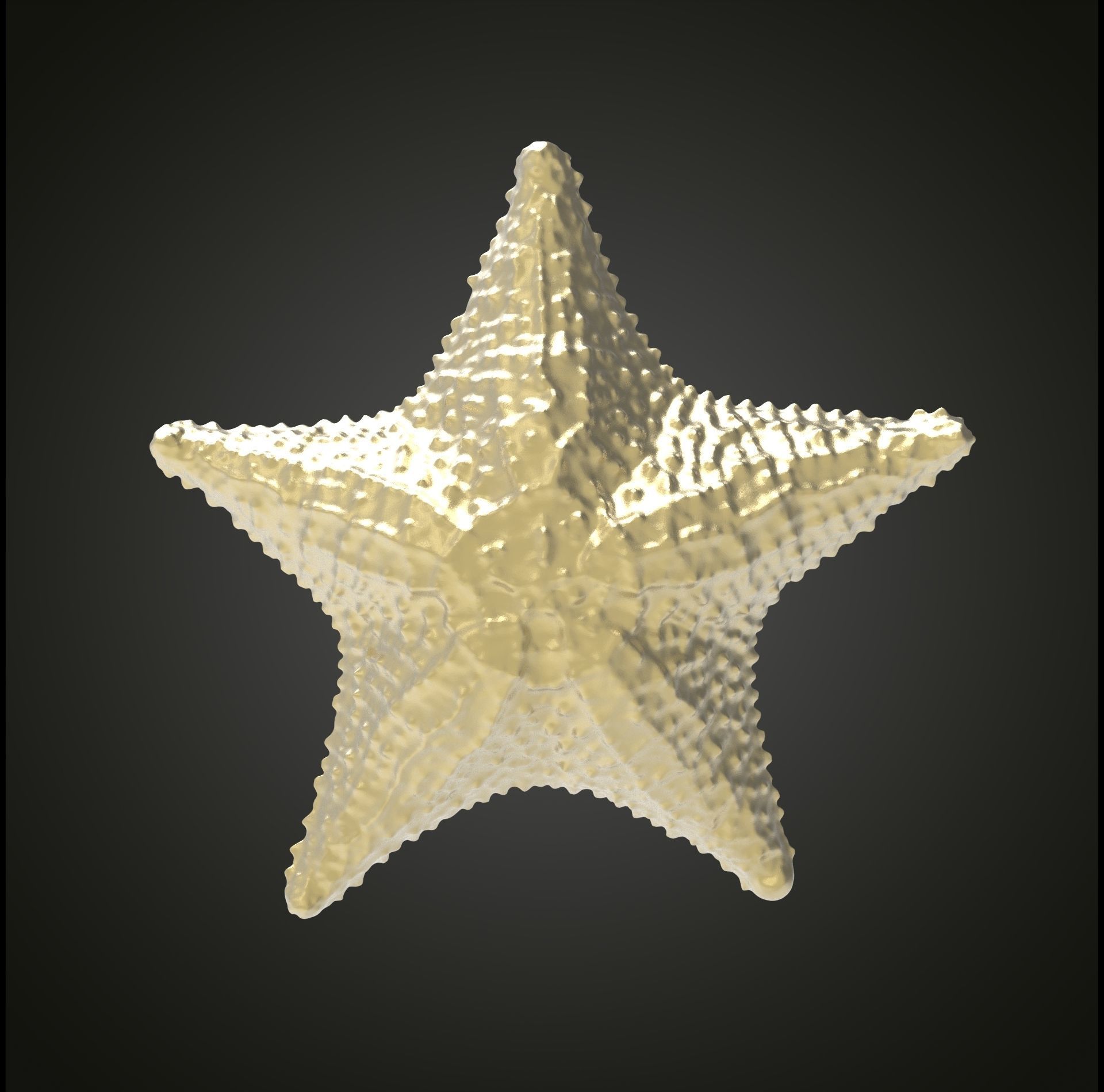 Starfish gold 3D print model_25
