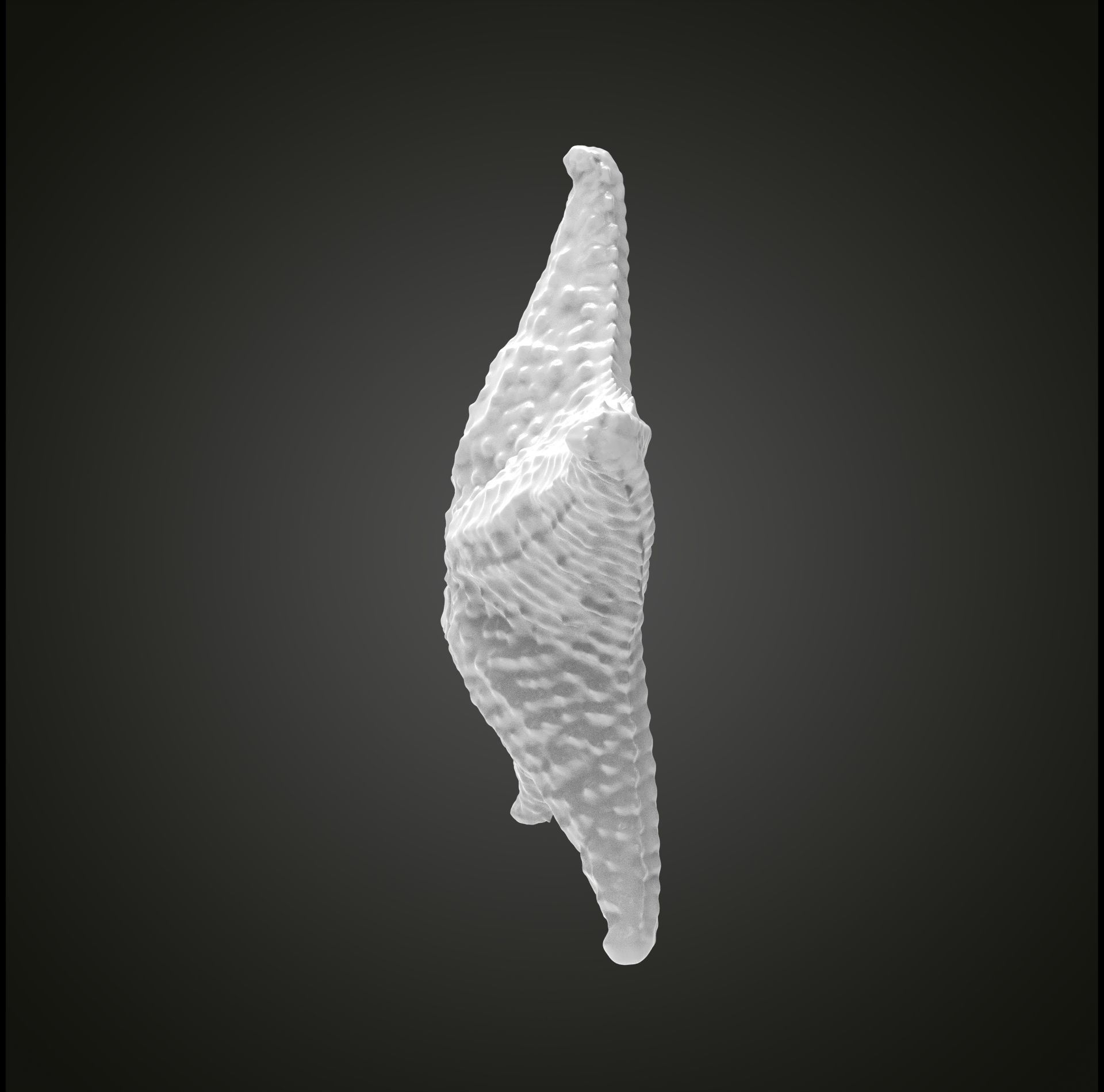 Starfish gold 3D print model_18