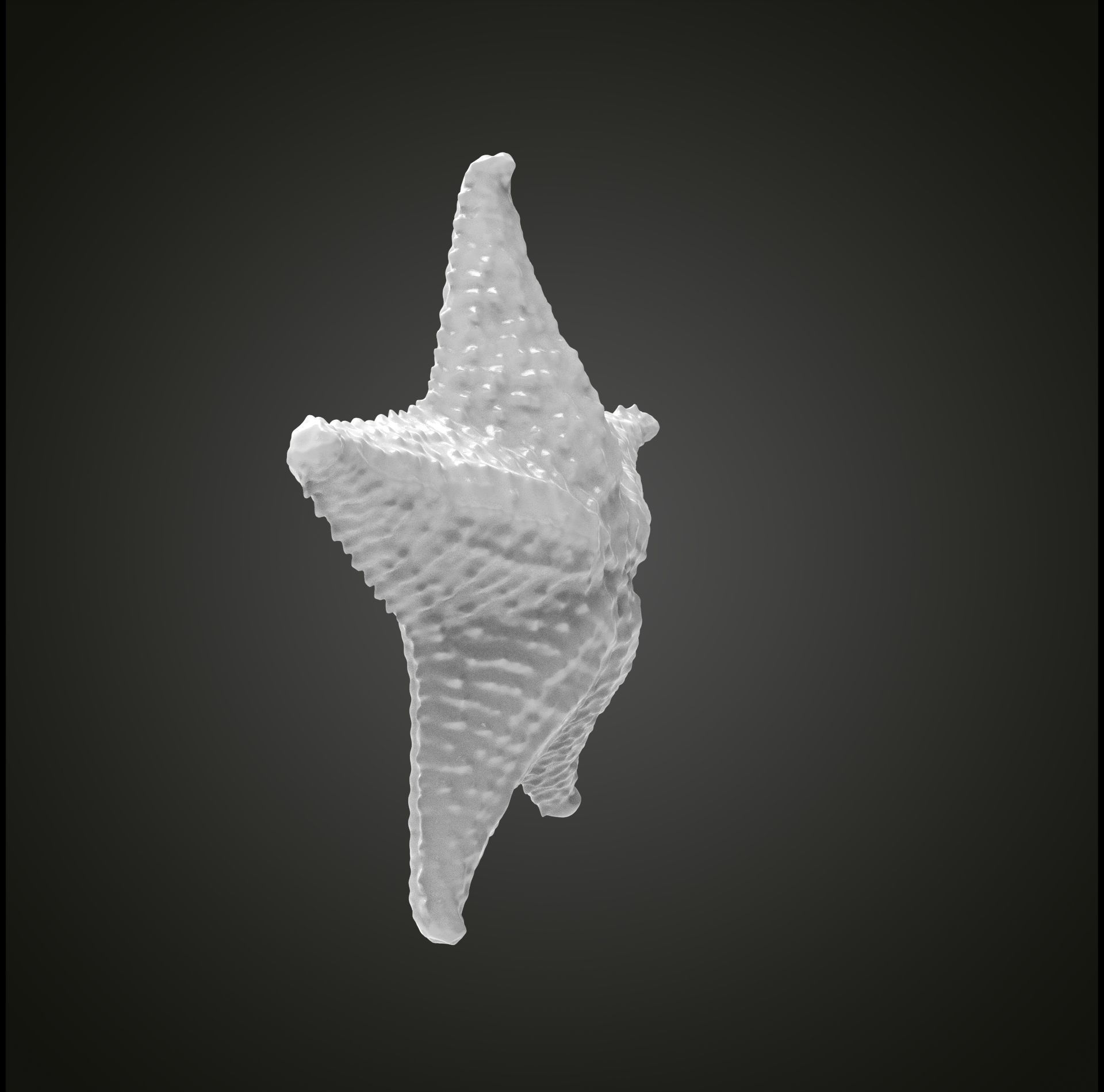 Starfish gold 3D print model_9