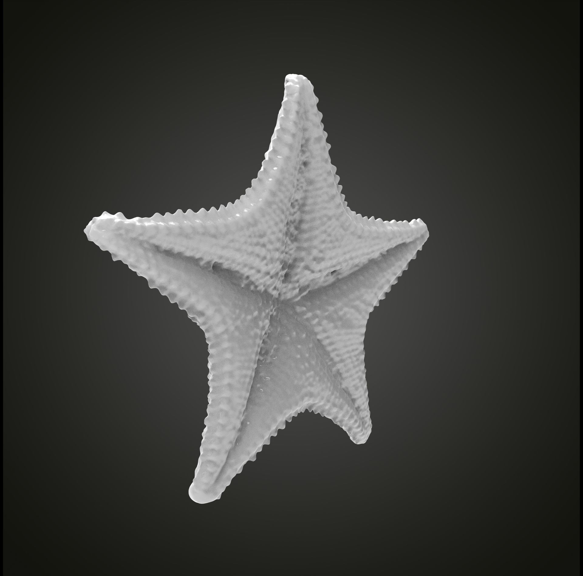 Starfish gold 3D print model_21