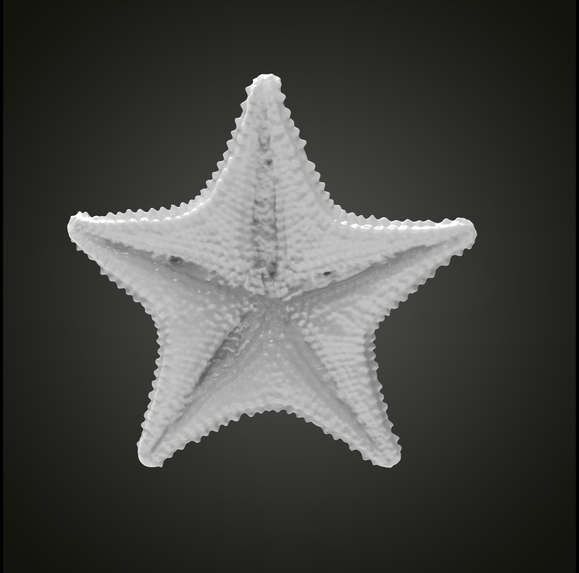 Starfish gold 3D print model_3
