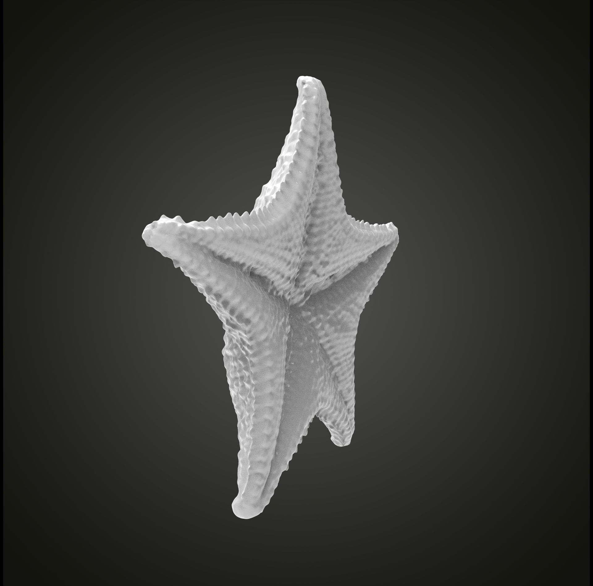 Starfish gold 3D print model_20