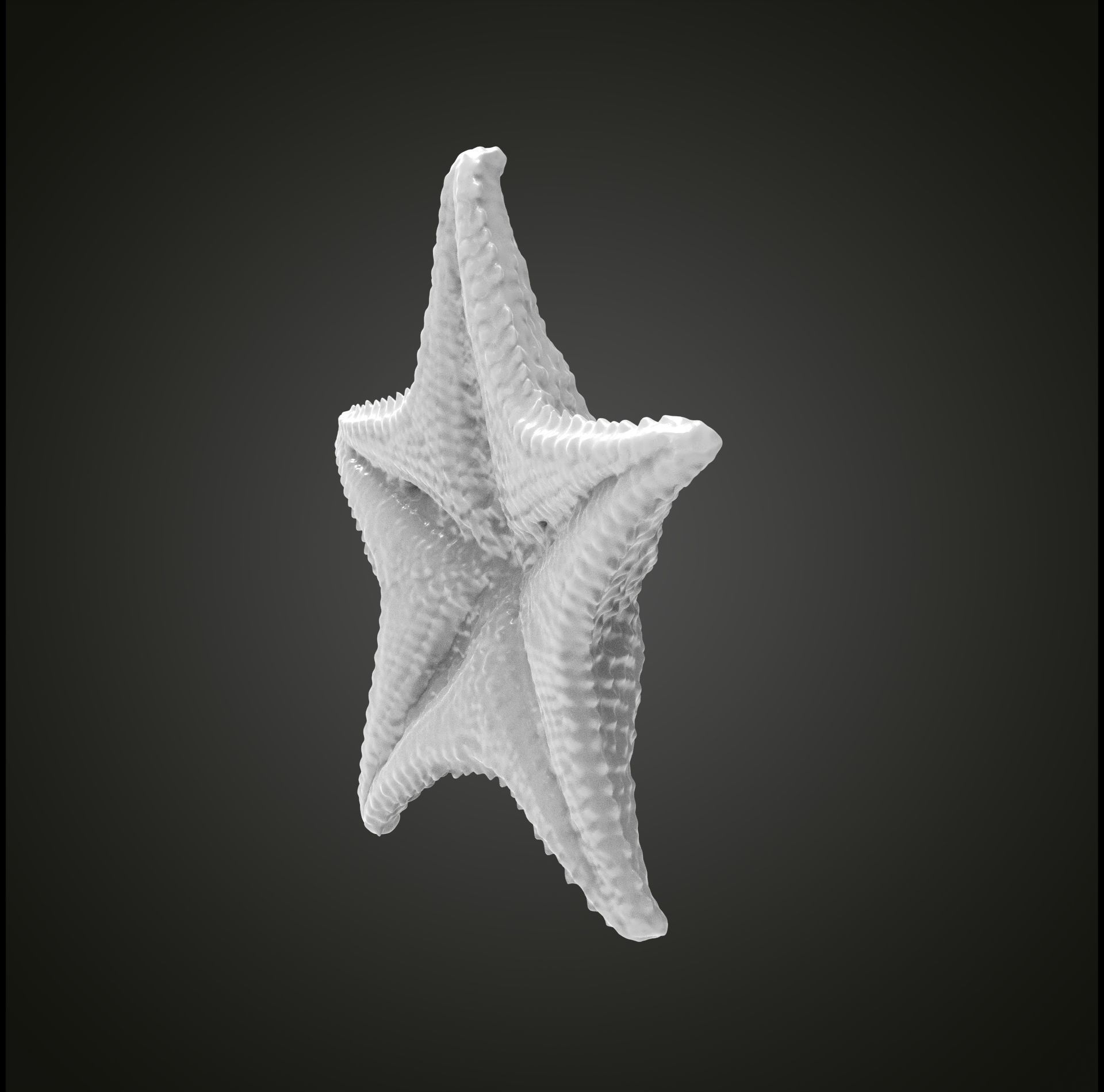 Starfish gold 3D print model_6