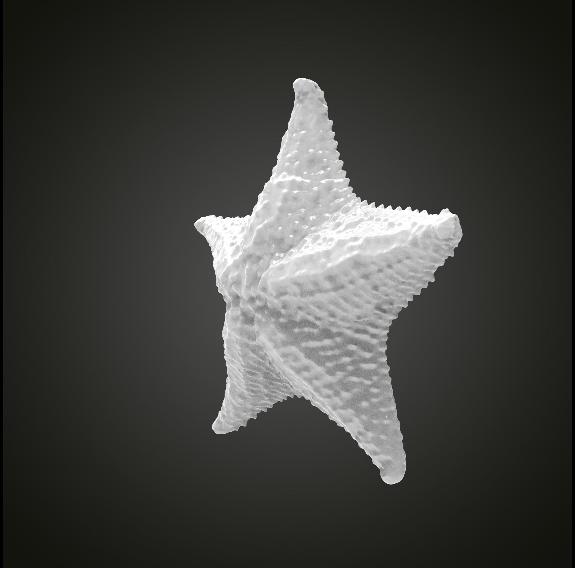 Starfish gold 3D print model_16