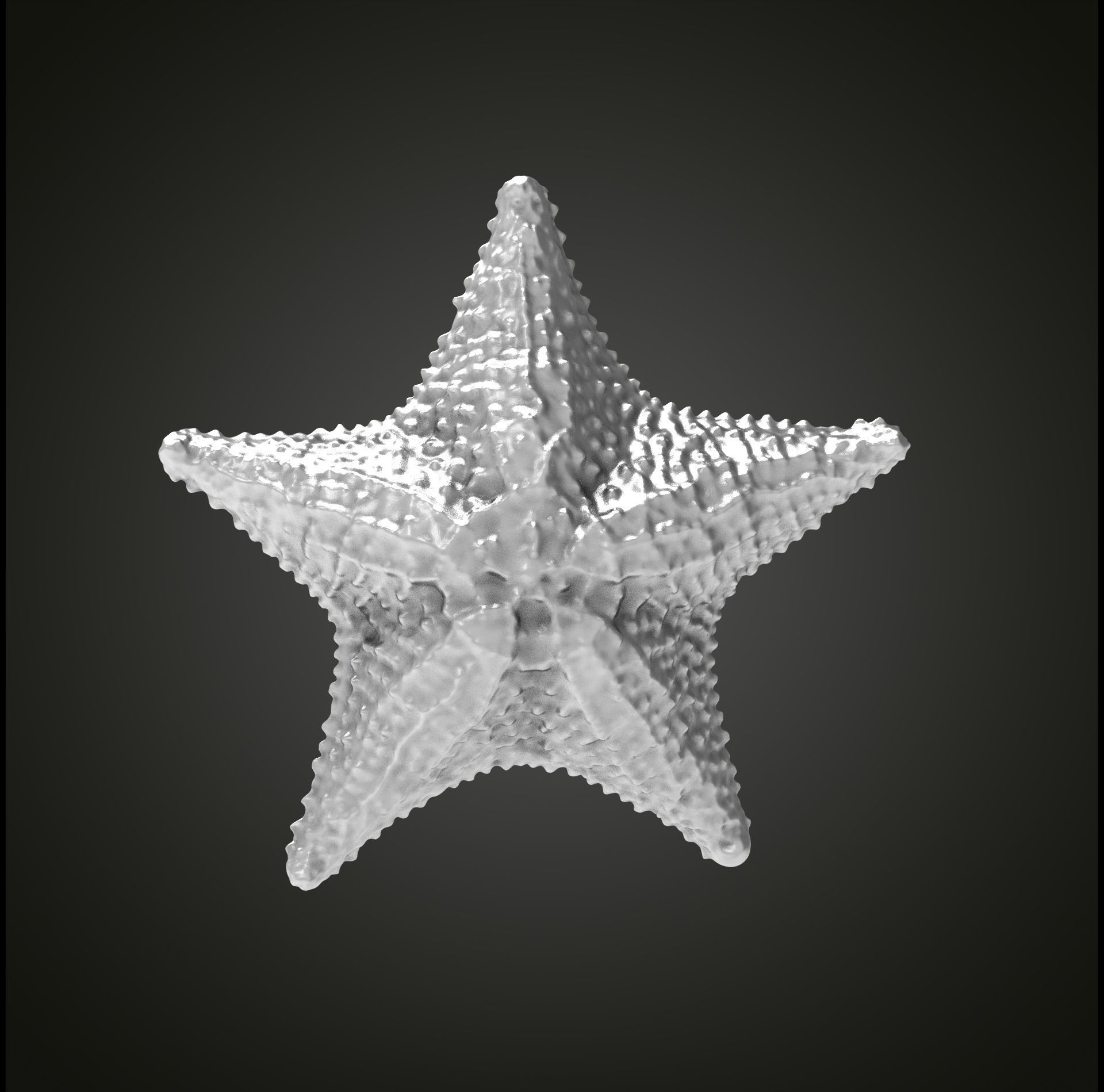 Starfish gold 3D print model_22