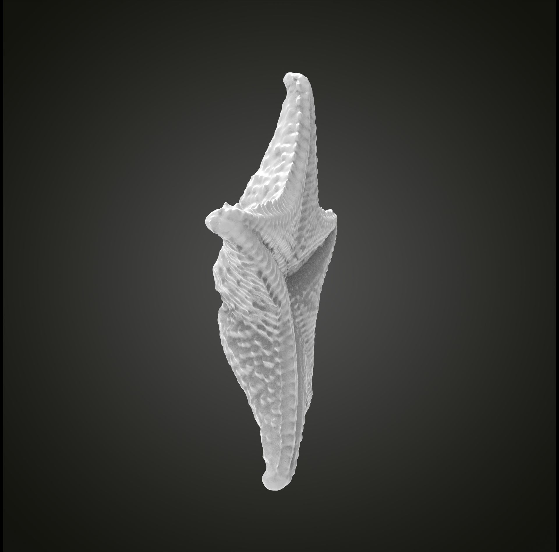 Starfish gold 3D print model_19