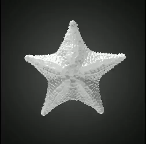 Starfish gold 3D print model