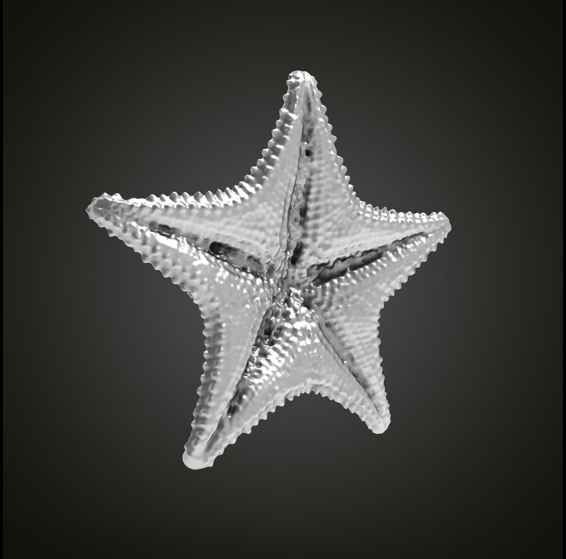 Starfish gold 3D print model_23