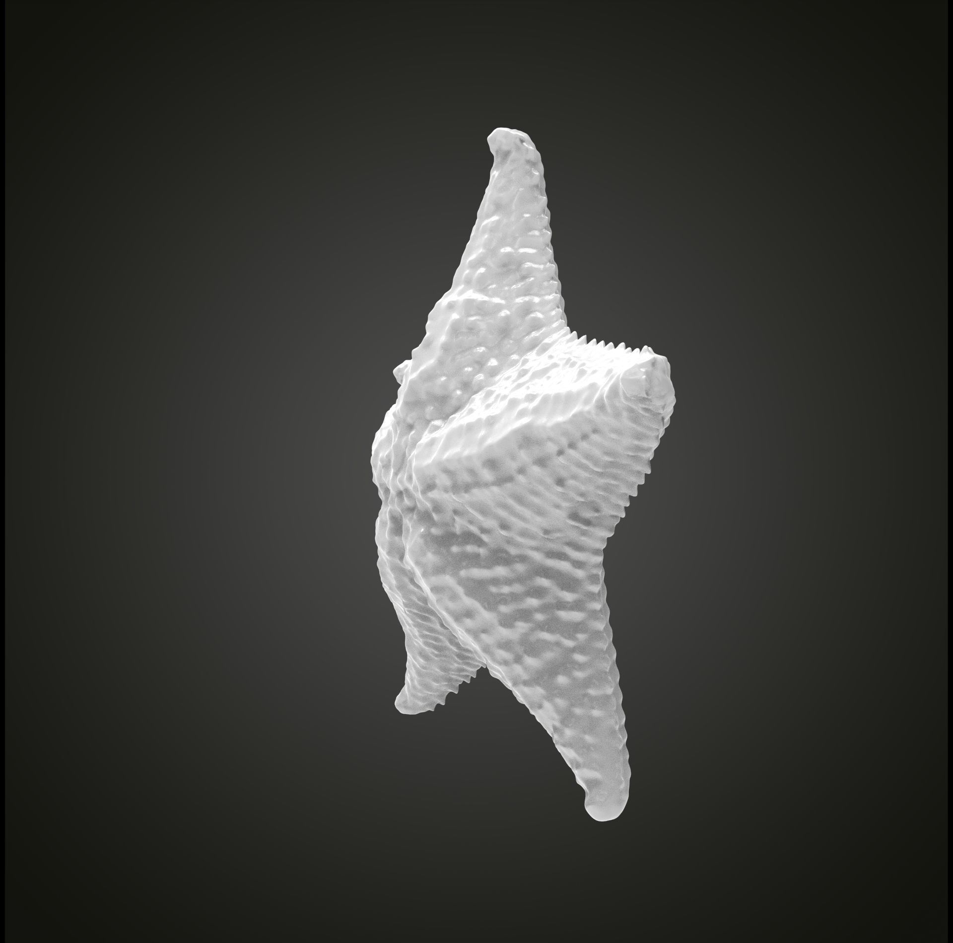 Starfish gold 3D print model_17