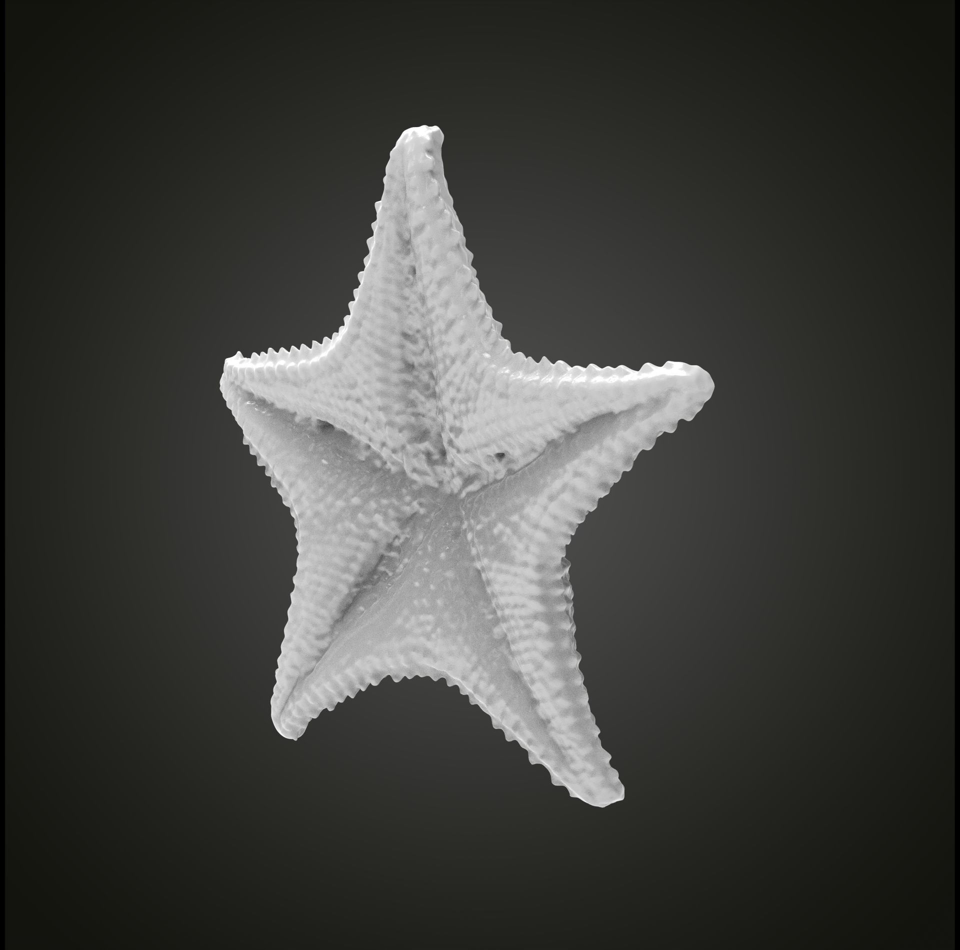 Starfish gold 3D print model_5