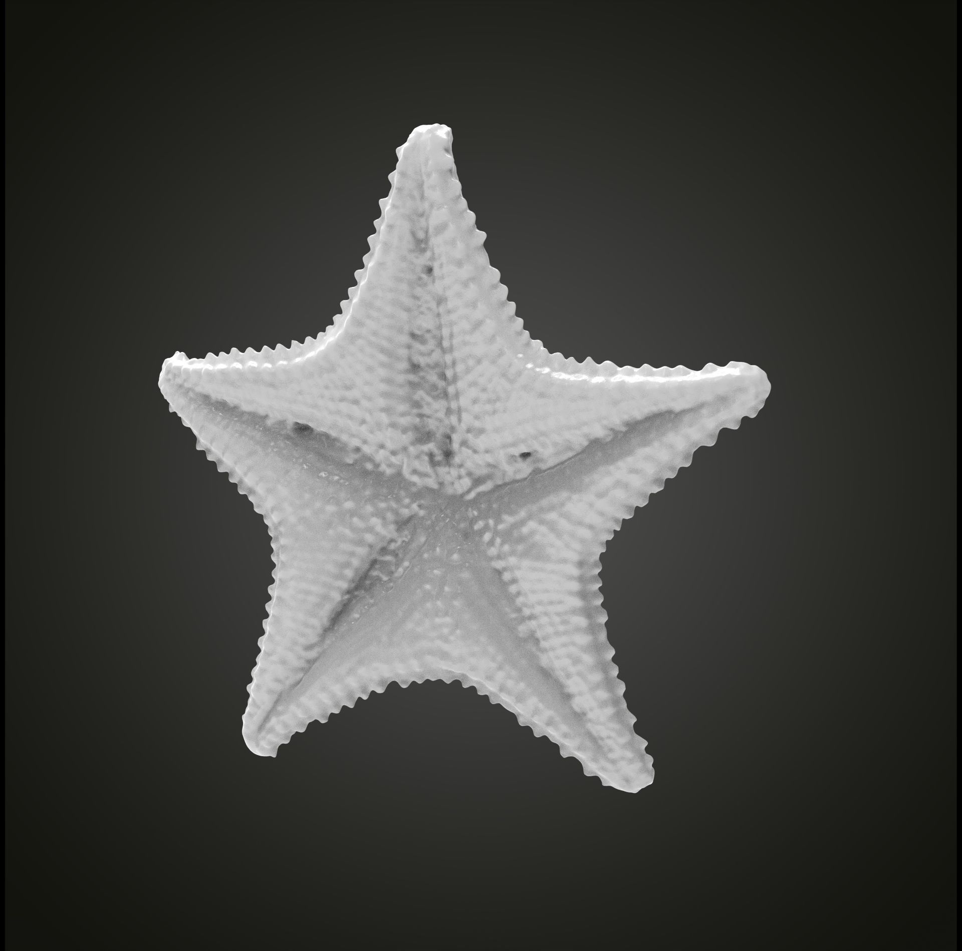 Starfish gold 3D print model_4