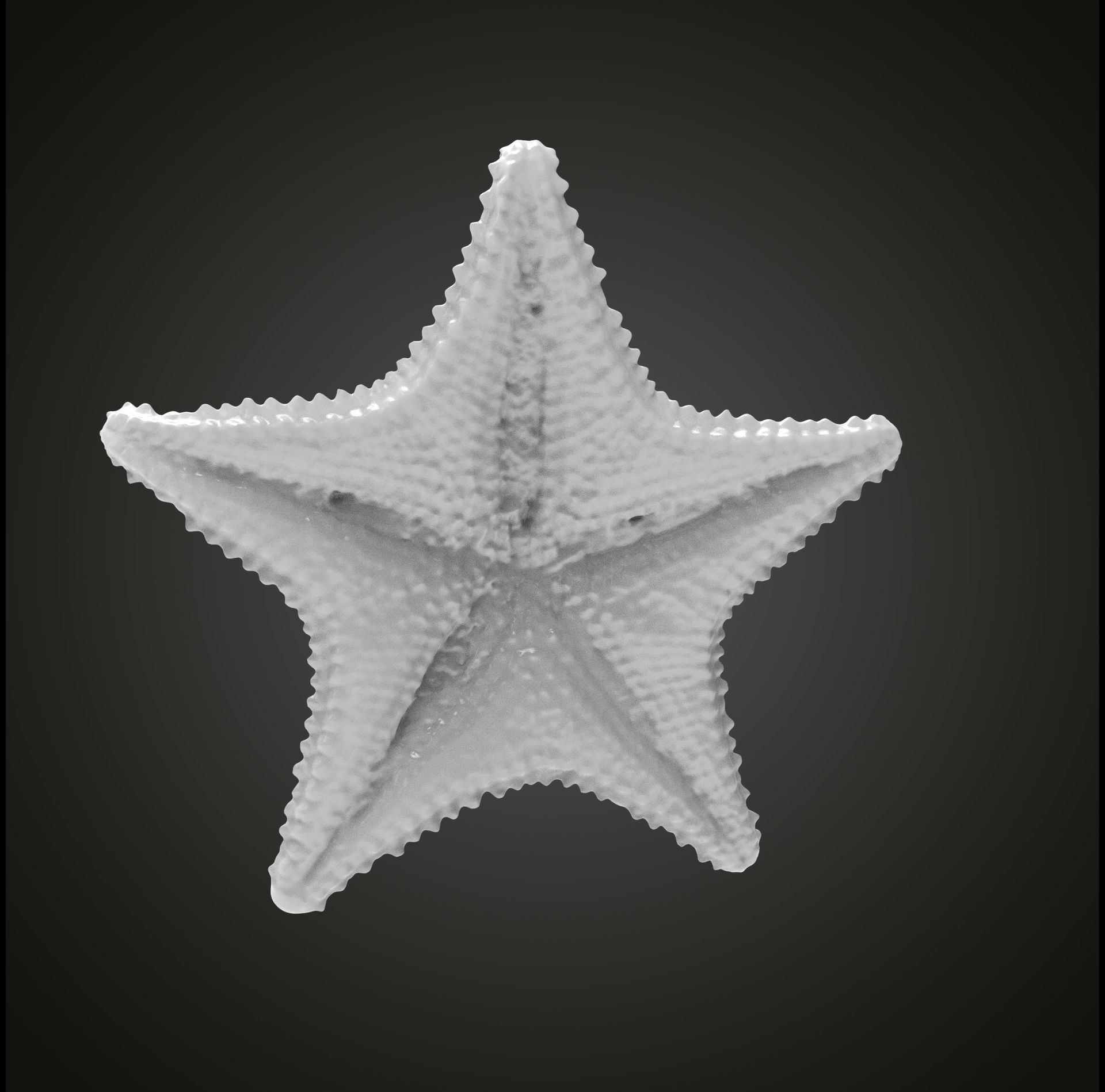 Starfish gold 3D print model_2