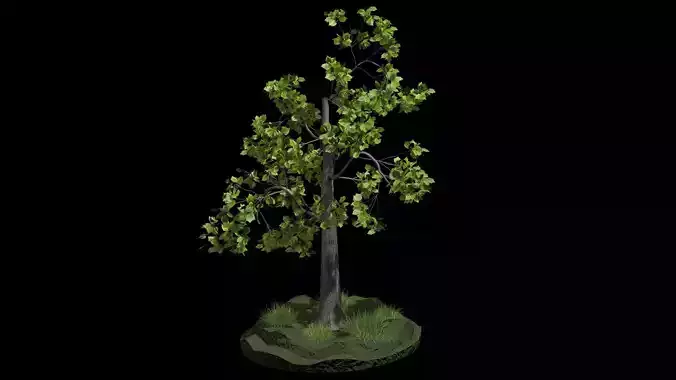 Fairy tree R3