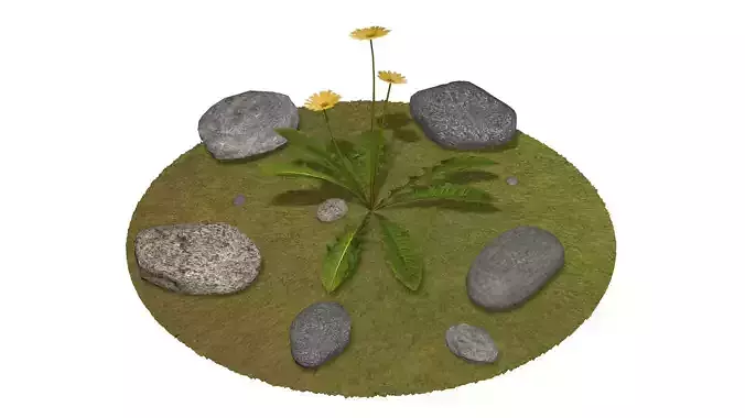 Stones and dandelion 3D model