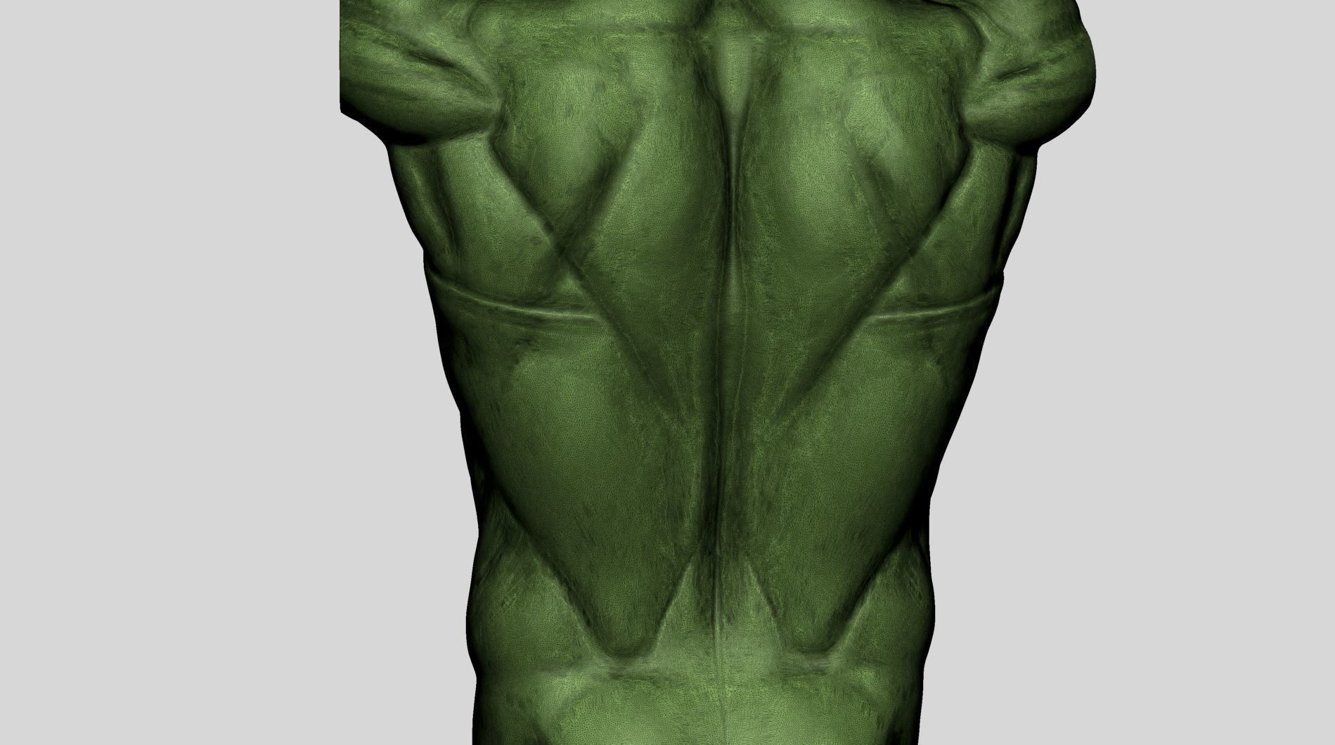Back Anatomy 3D model_9