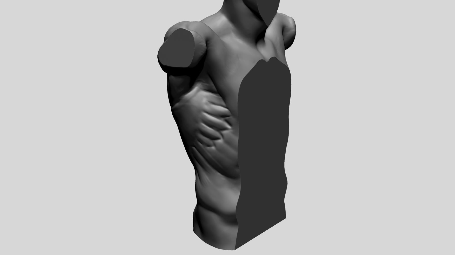 Back Anatomy 3D model_3