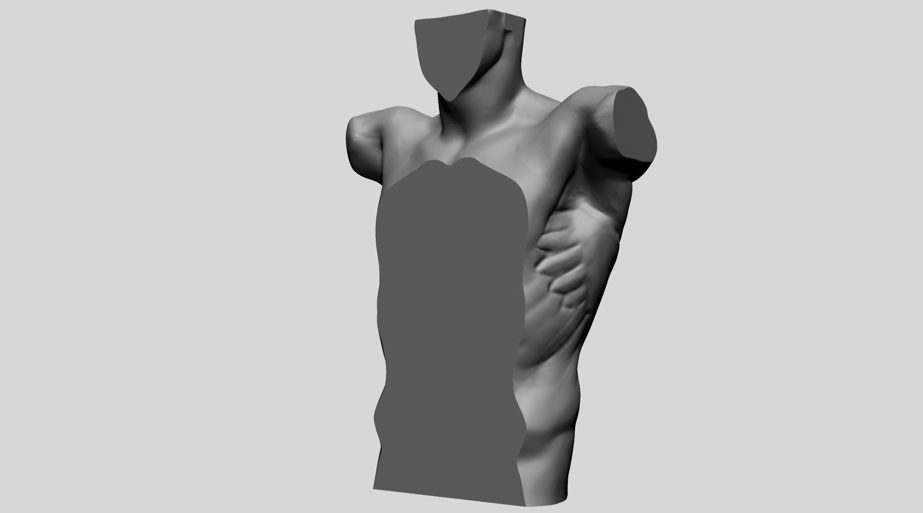 Back Anatomy 3D model_8
