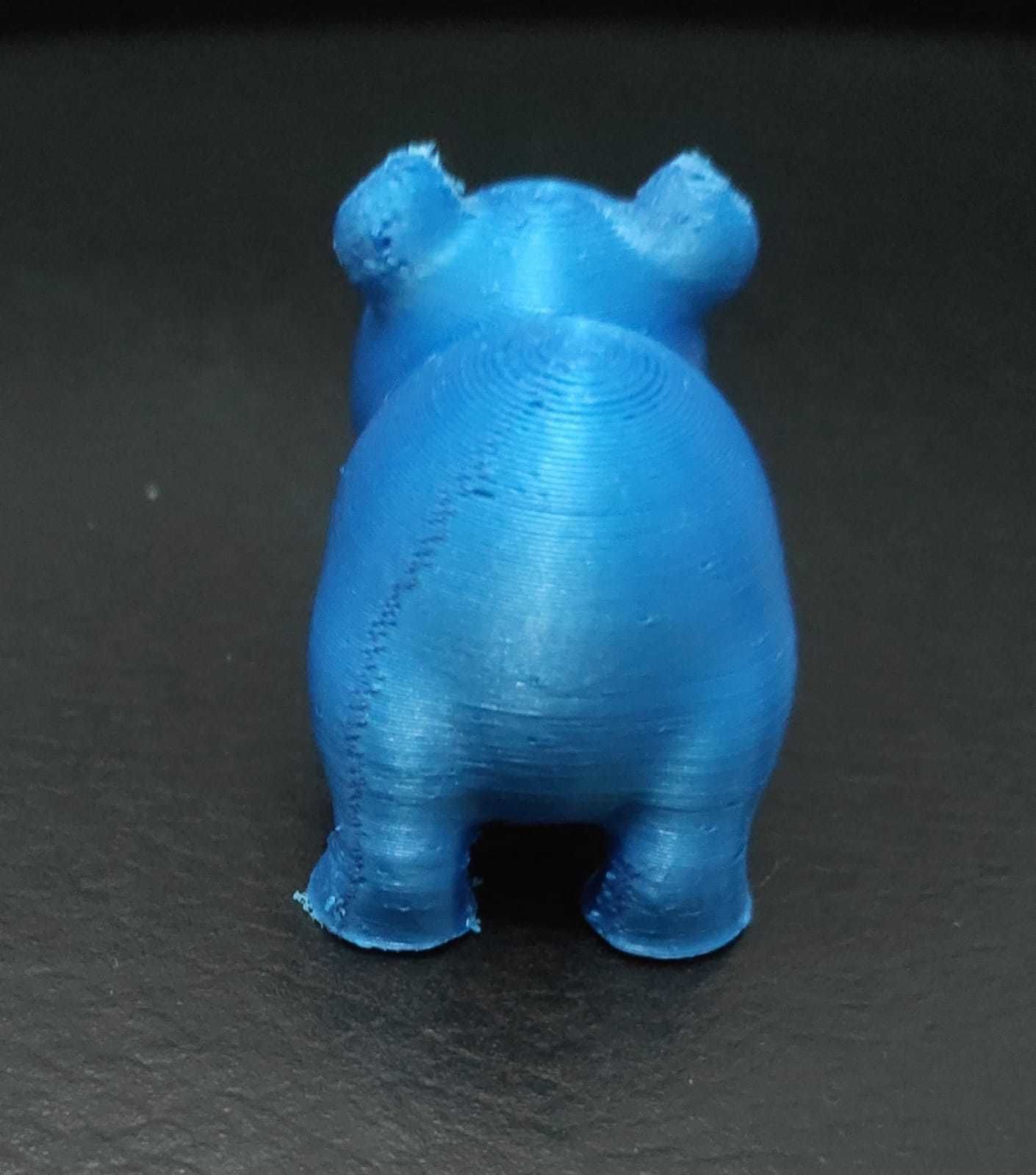Agouti bear 3D print model_5