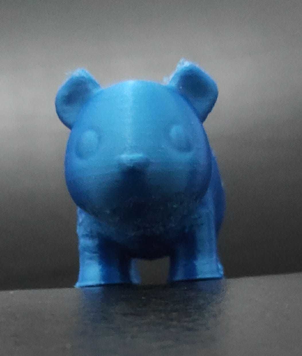 Agouti bear 3D print model_3