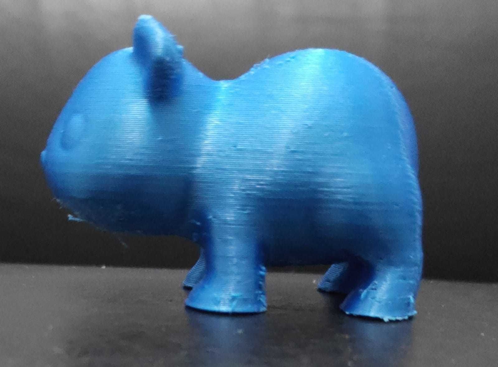 Agouti bear 3D print model_4