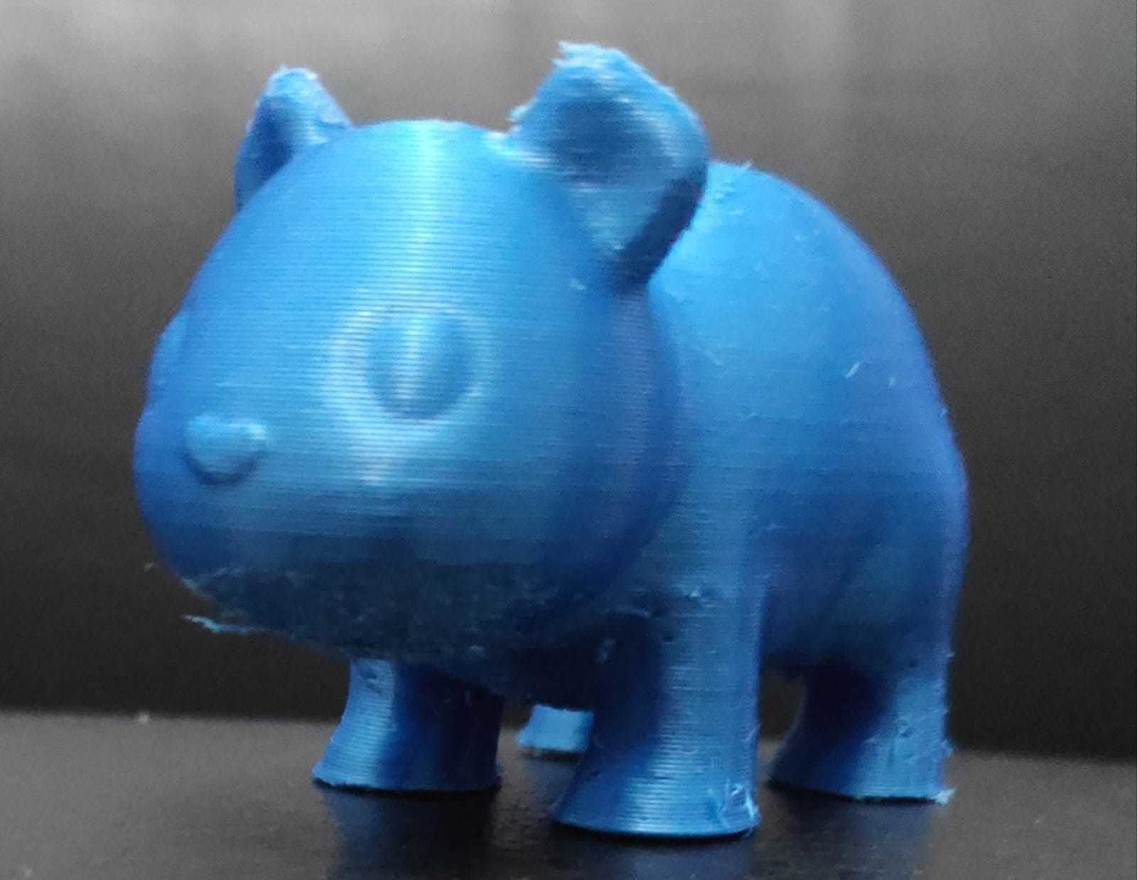 Agouti bear 3D print model_7