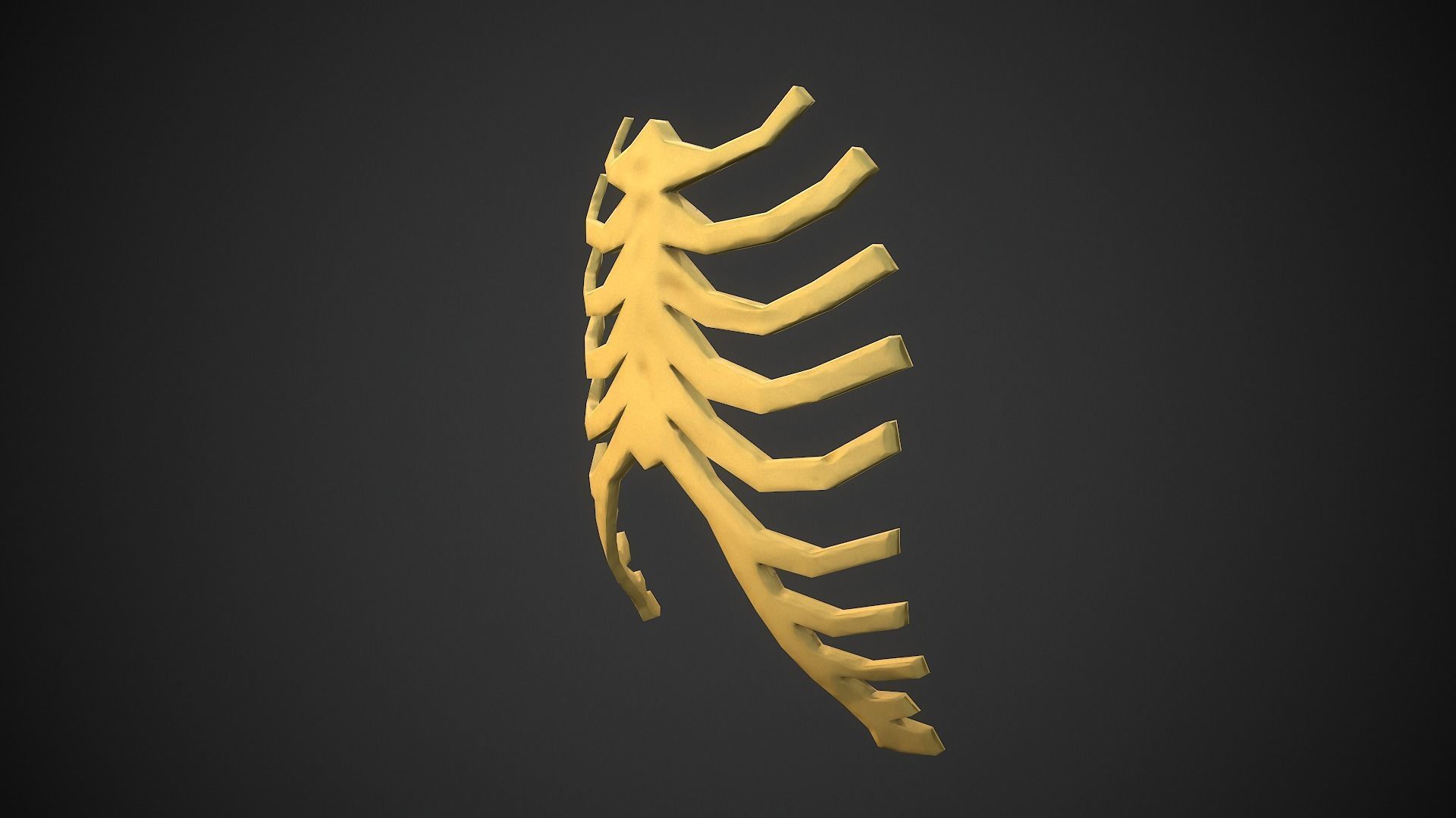 Stylized bones Low-poly 3D model_22