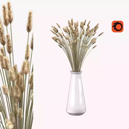 Bouquet of lagurus 3D model