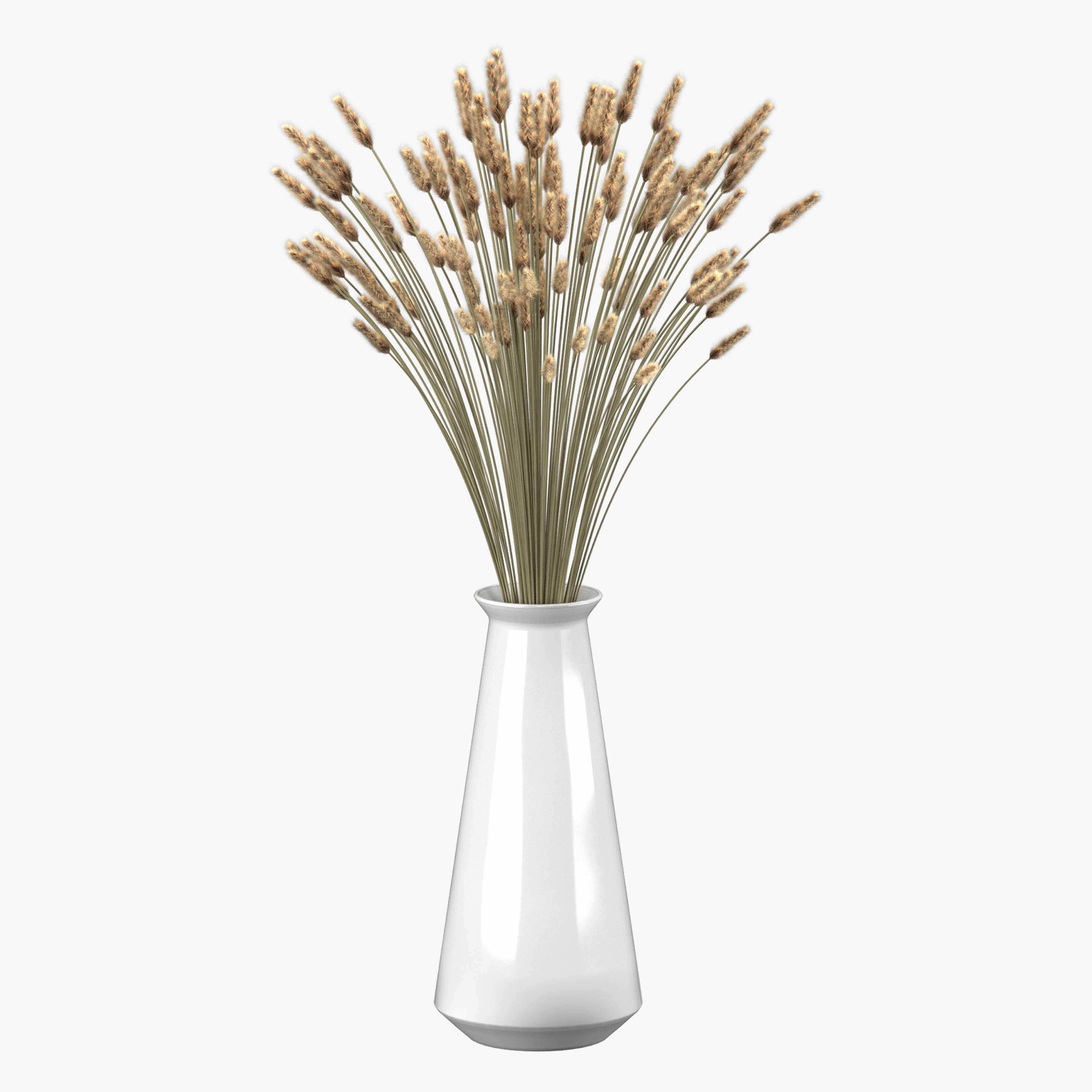 Bouquet of lagurus 3D model_1