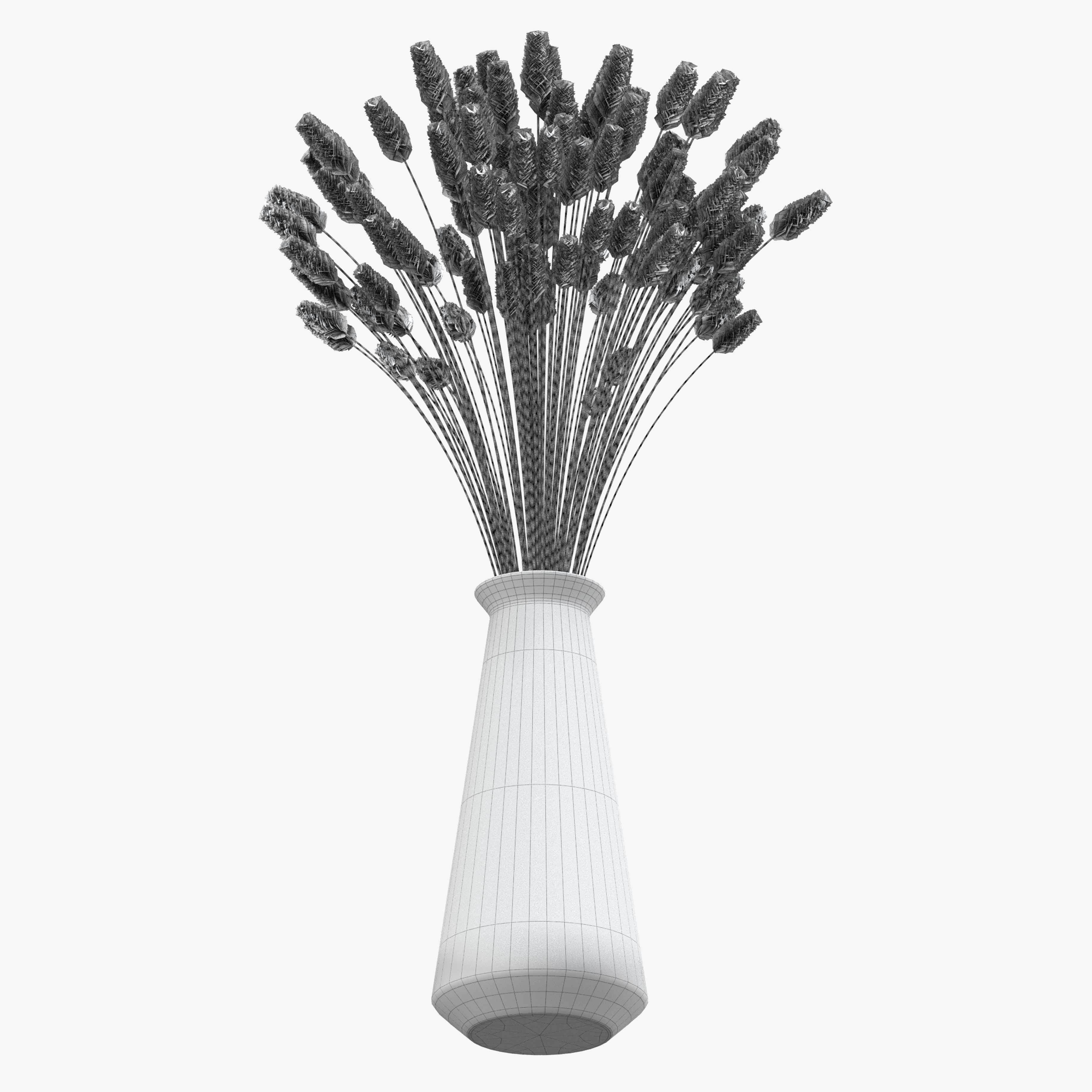 Bouquet of lagurus 3D model_10