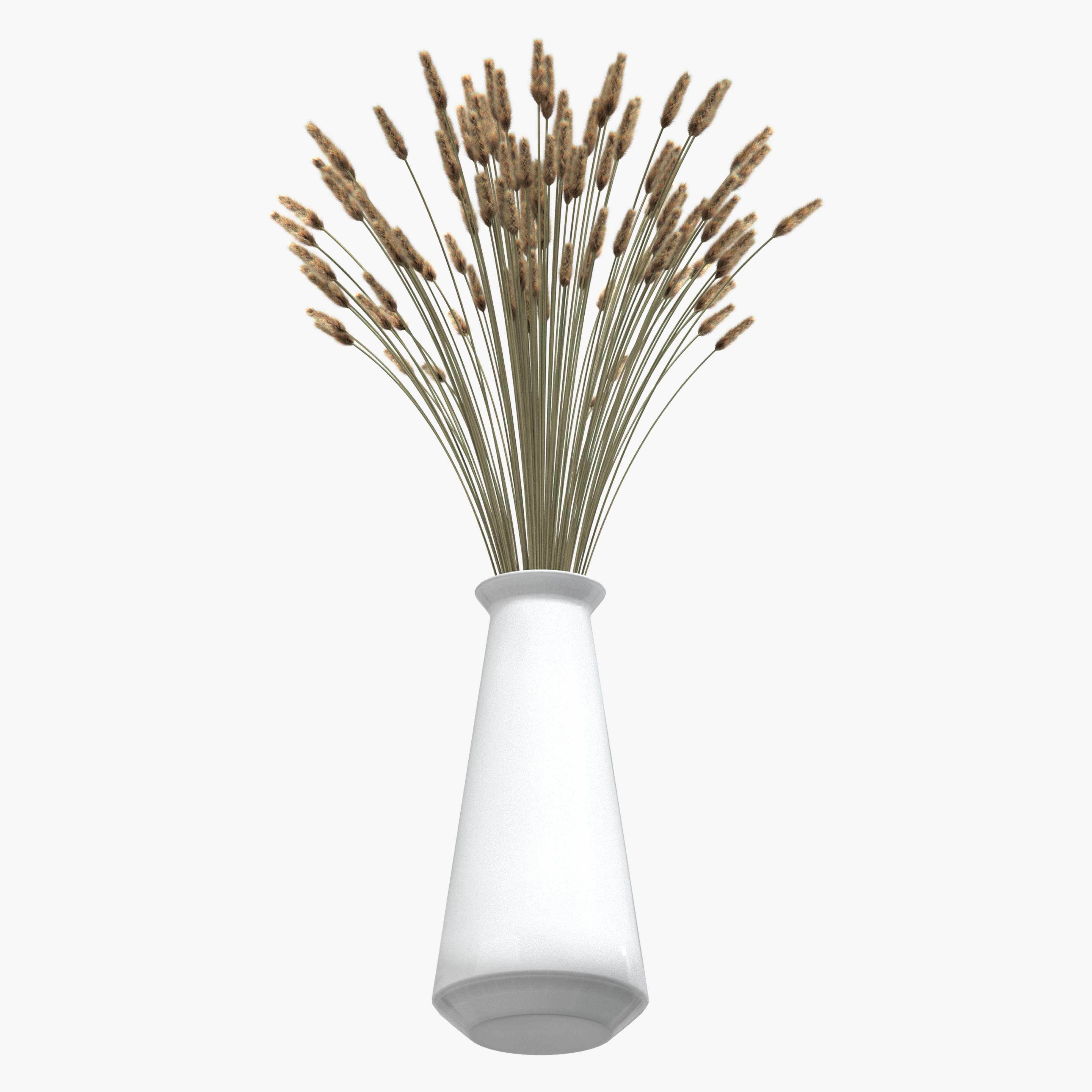 Bouquet of lagurus 3D model_5