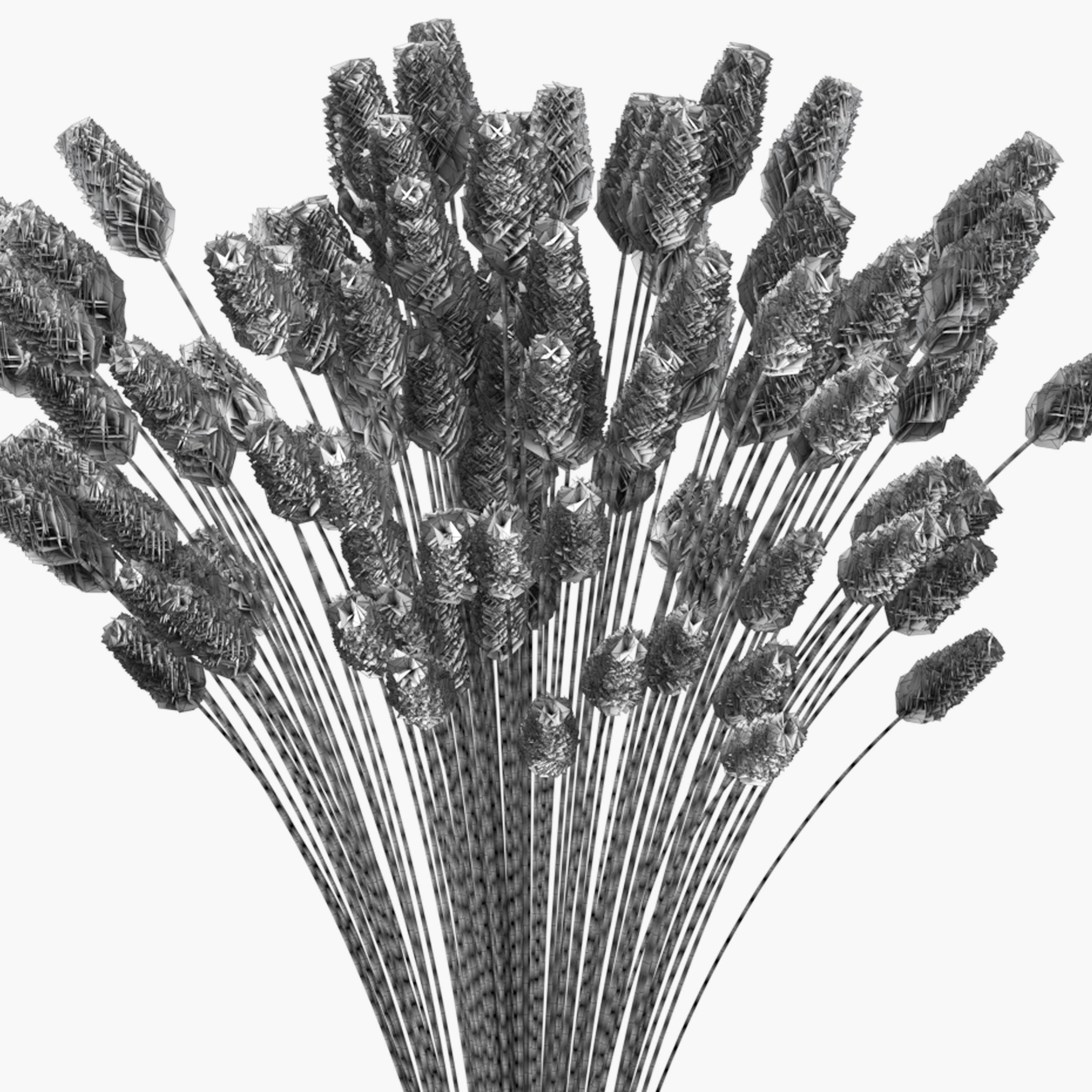 Bouquet of lagurus 3D model_8