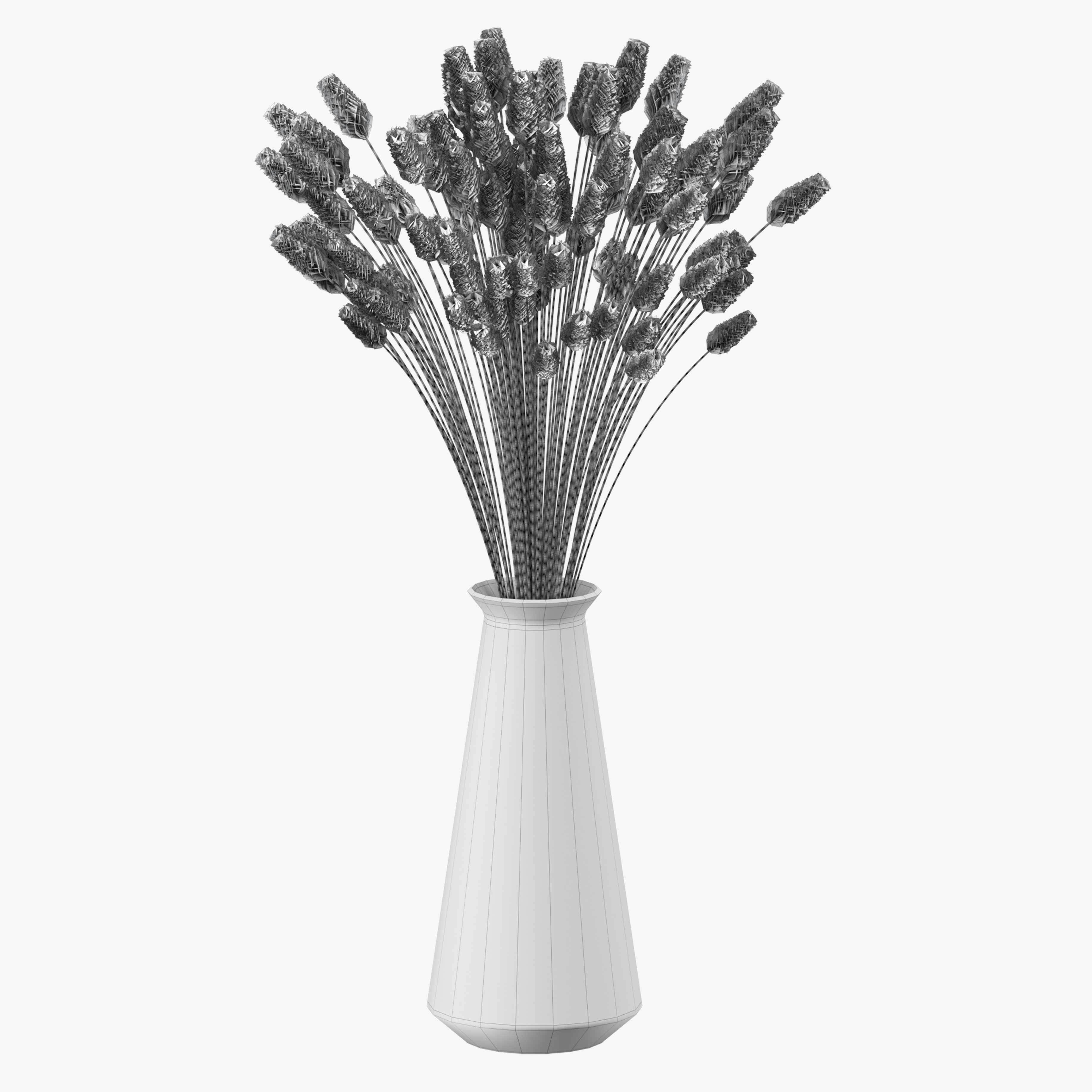 Bouquet of lagurus 3D model_6
