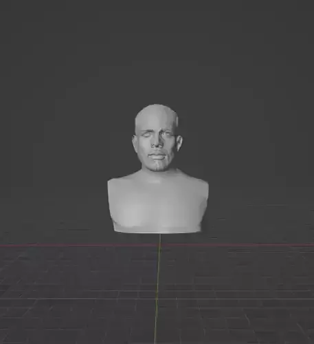 Drake bust  3D print model