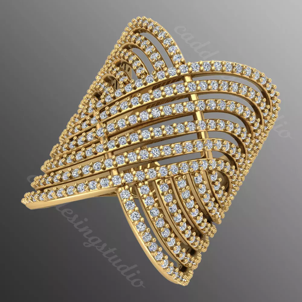 Ring sp18 3D print model