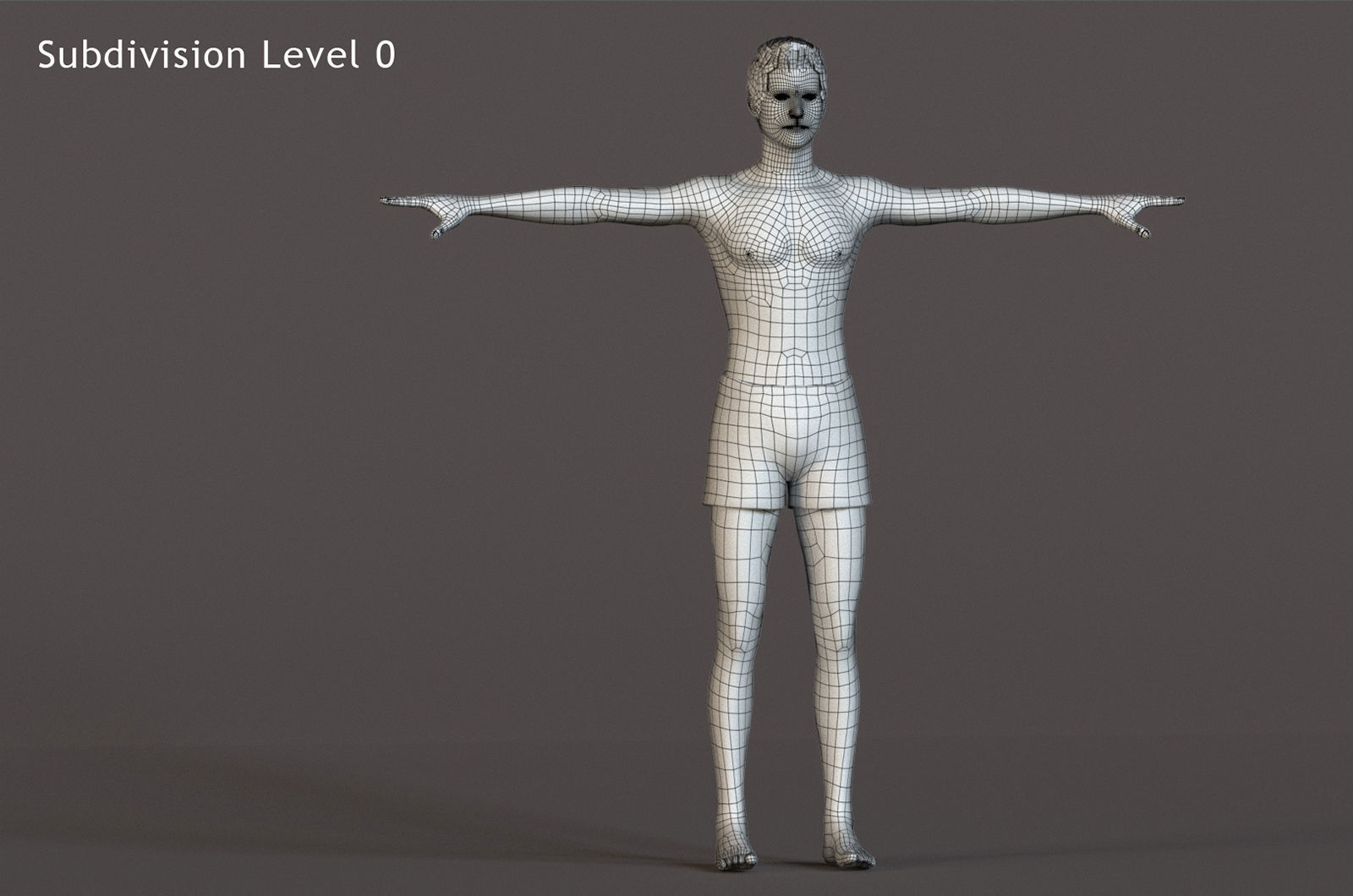Male Female Base Rig Low-poly 3D model_21