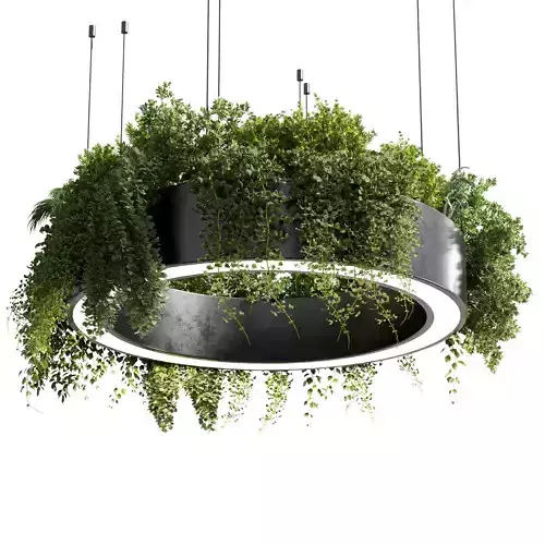 pot light pendant plant light hanging 05 3D model