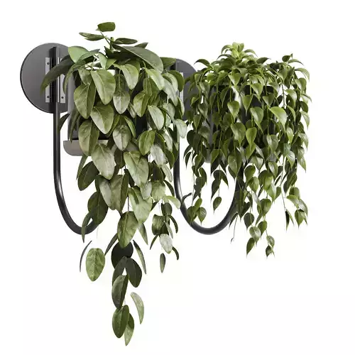 wall plant collection Indoor plant 203 metal wall vase