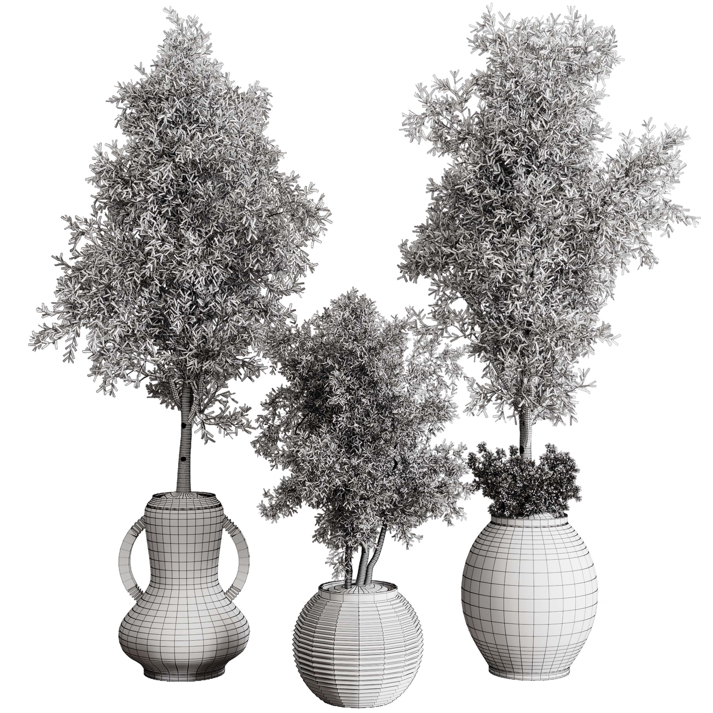 Olive tree in an old earthenware vase indoor collection 202 3D model_6