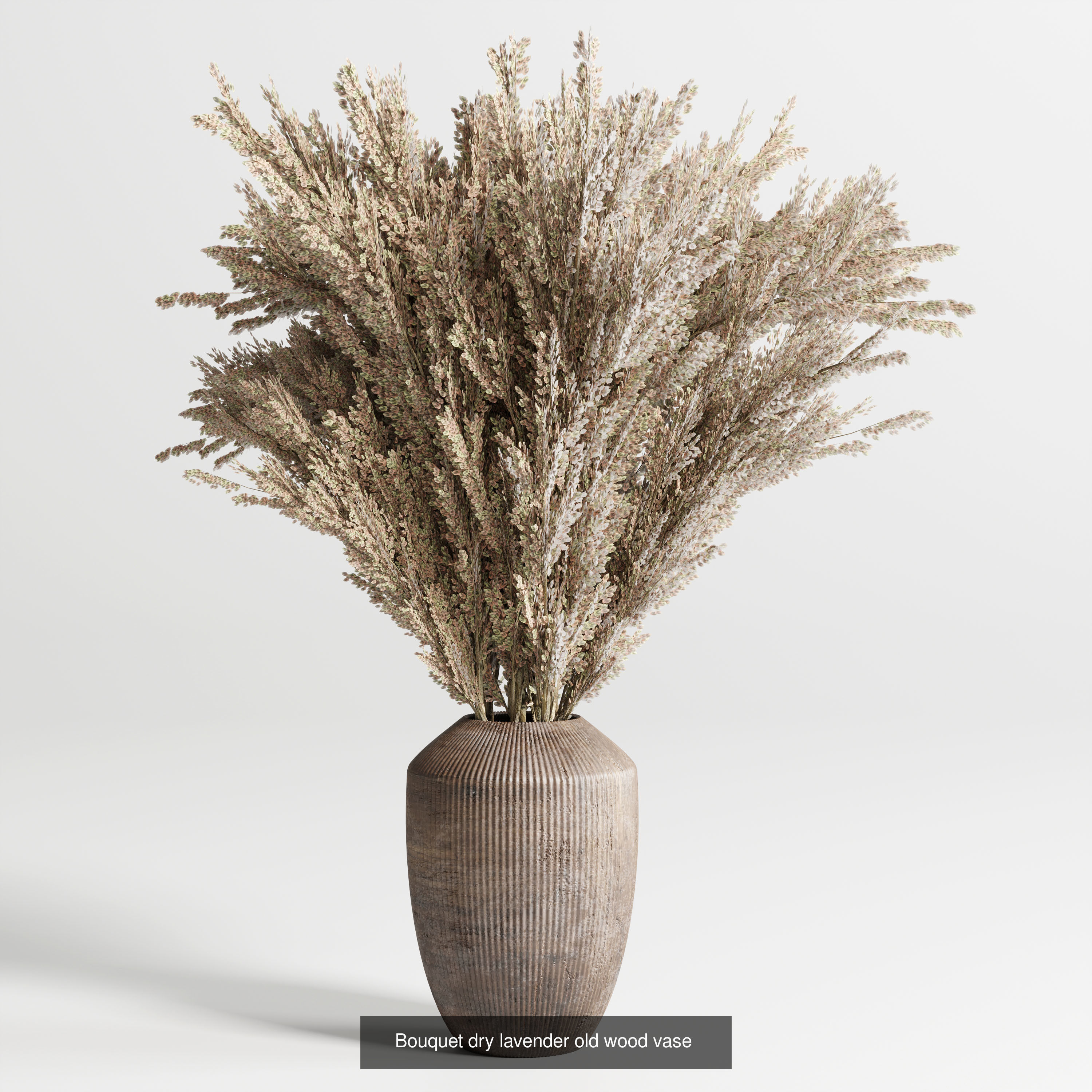 Plant and Dry Bouquet Collection Dried autumn plants _1