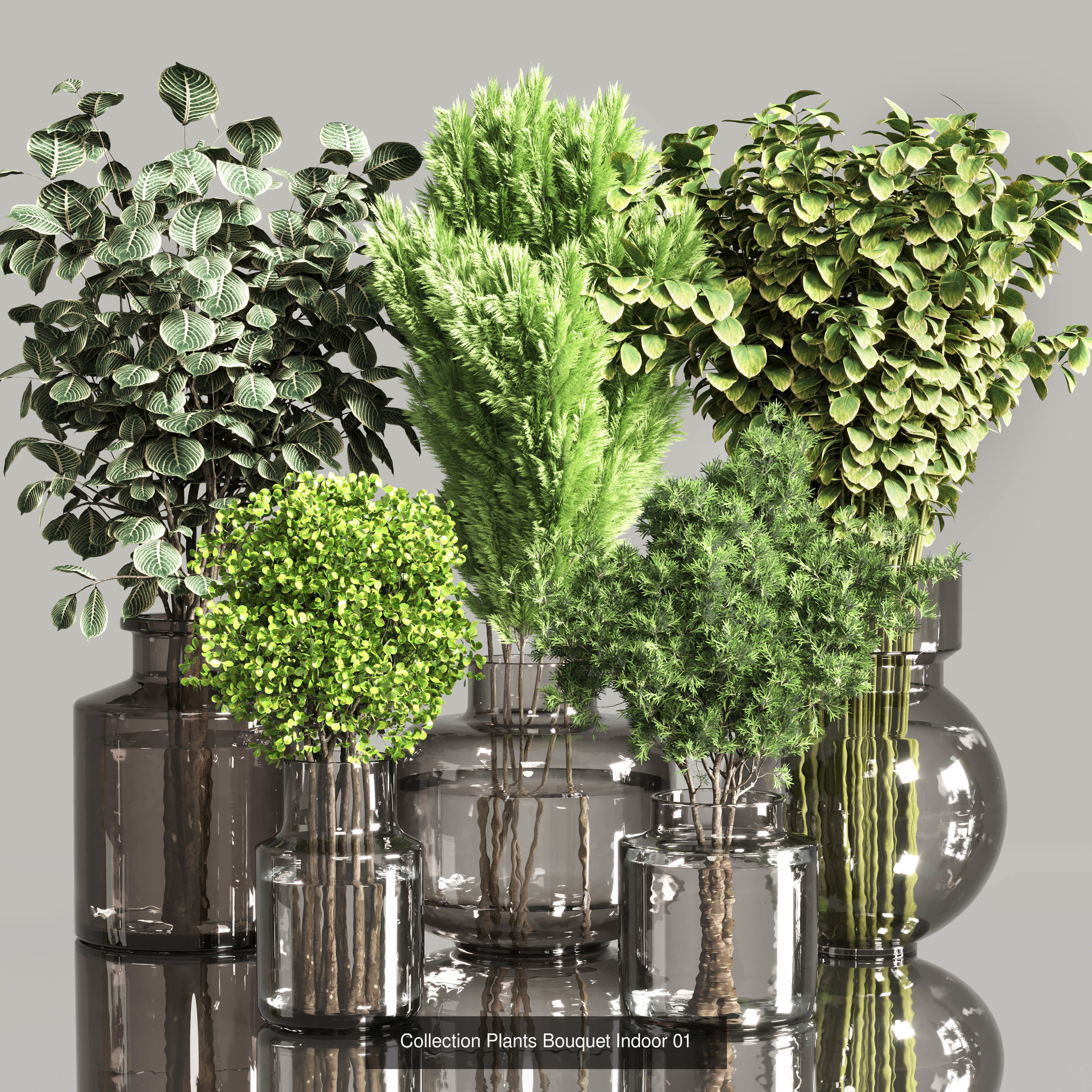 Plant and Dry Bouquet Collection Dried autumn plants _3