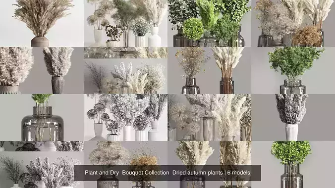 Plant and Dry  Bouquet Collection  Dried autumn plants