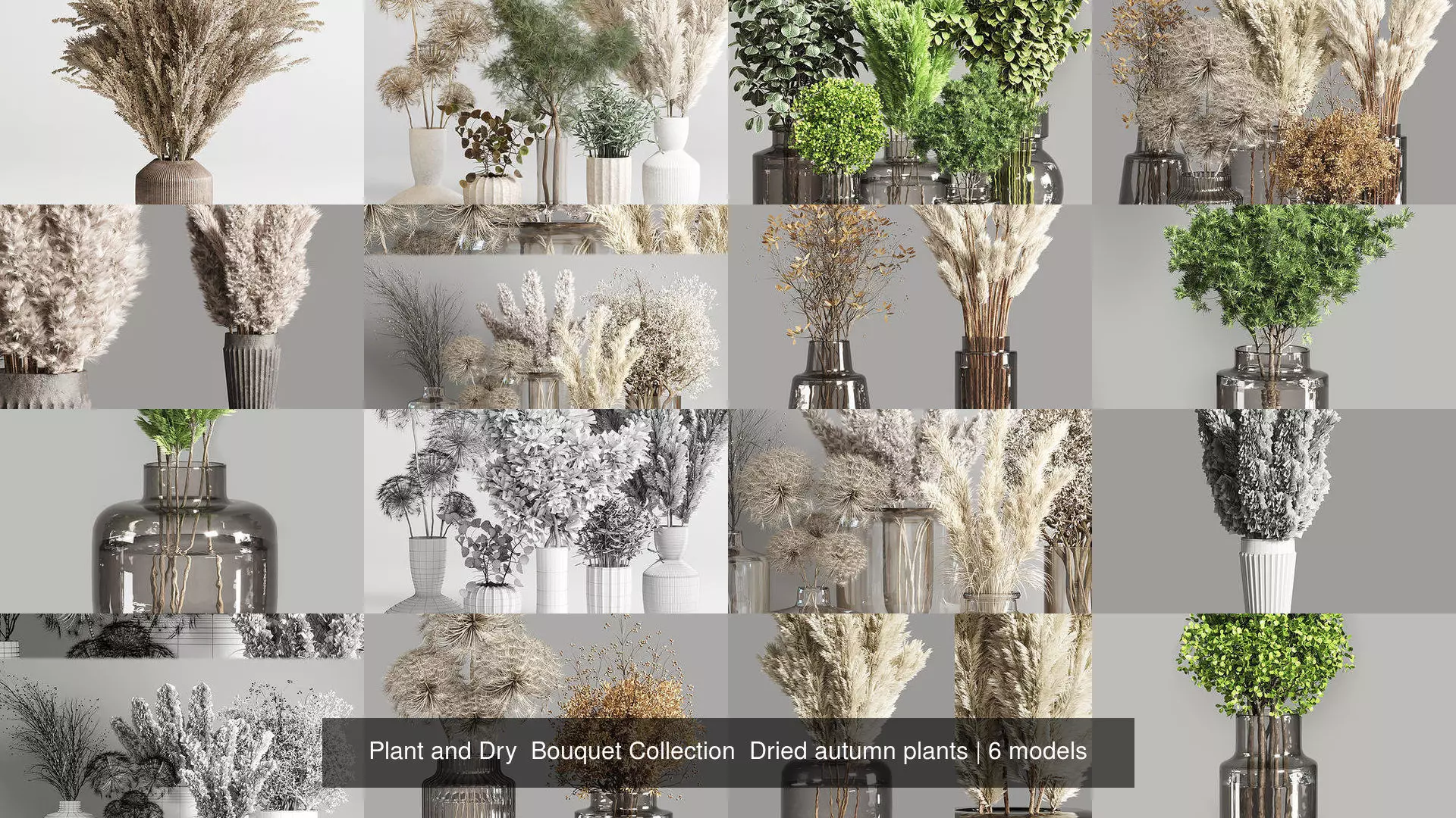 Plant and Dry Bouquet Collection Dried autumn plants _0