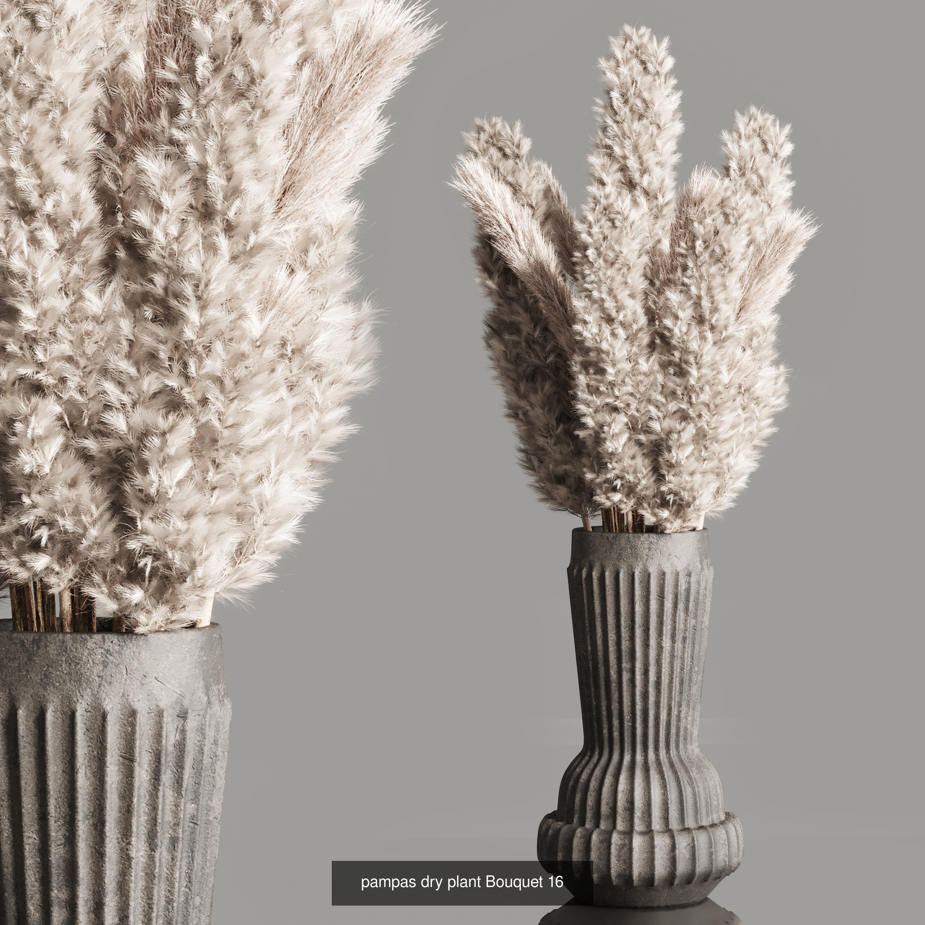 Plant and Dry Bouquet Collection Dried autumn plants _5