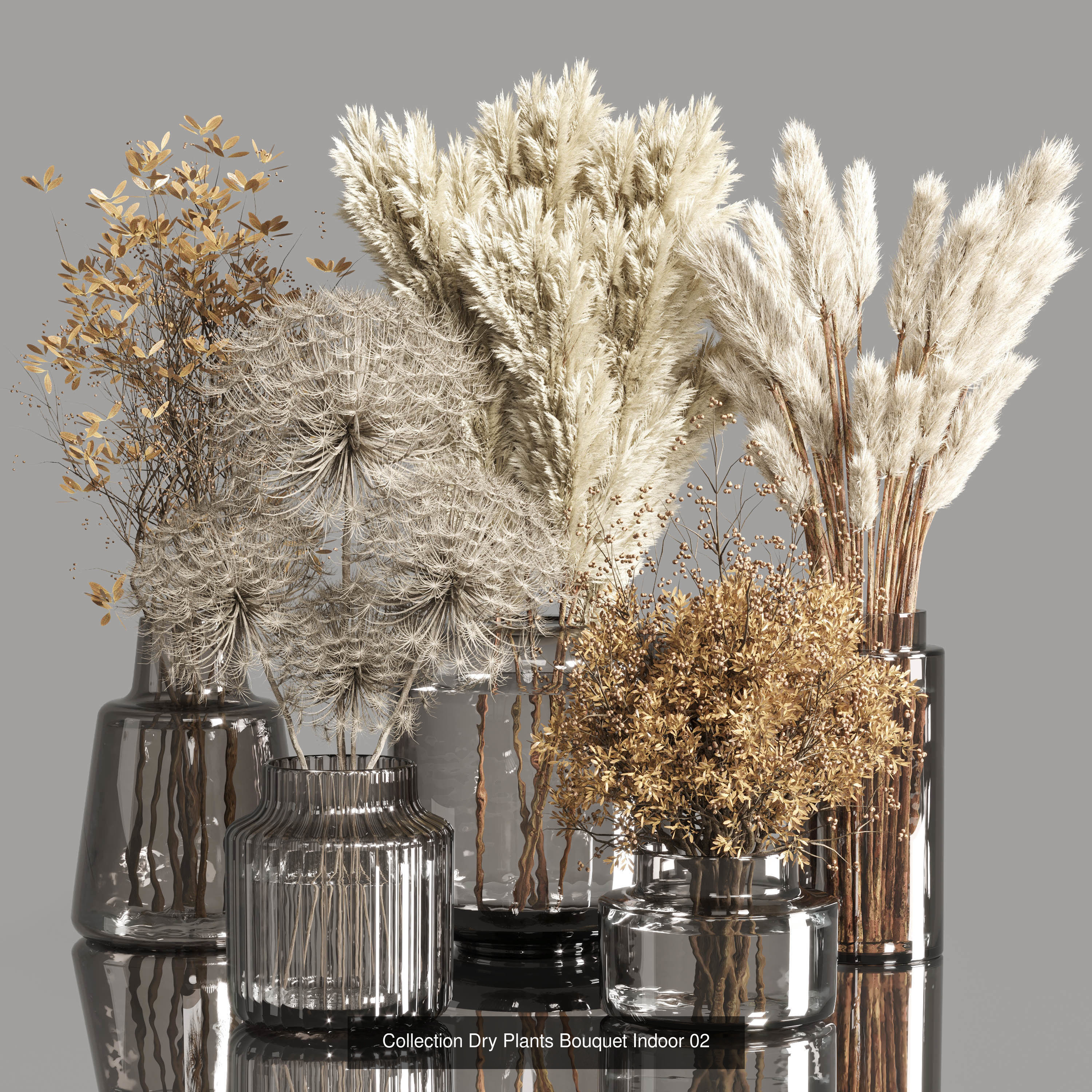 Plant and Dry Bouquet Collection Dried autumn plants _4