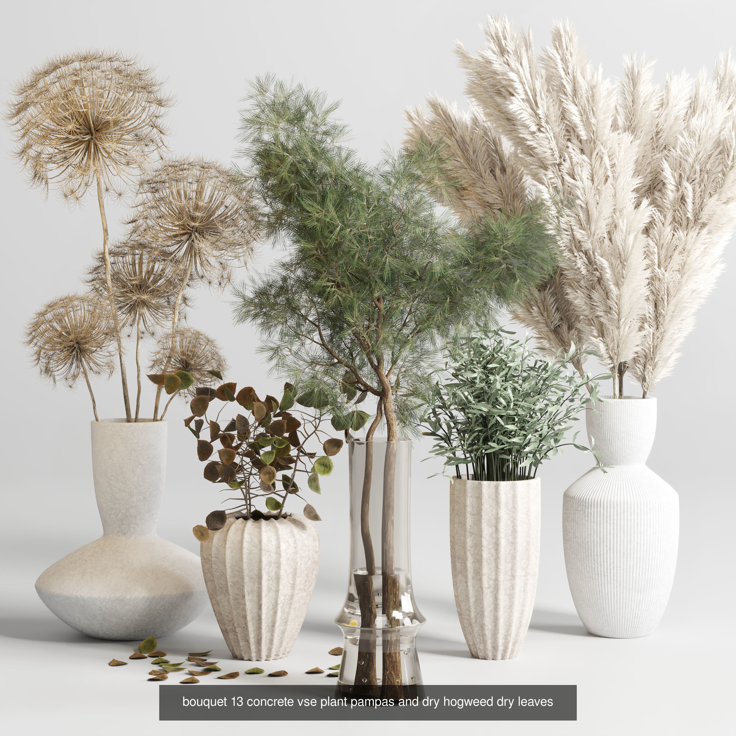 Plant and Dry Bouquet Collection Dried autumn plants _2