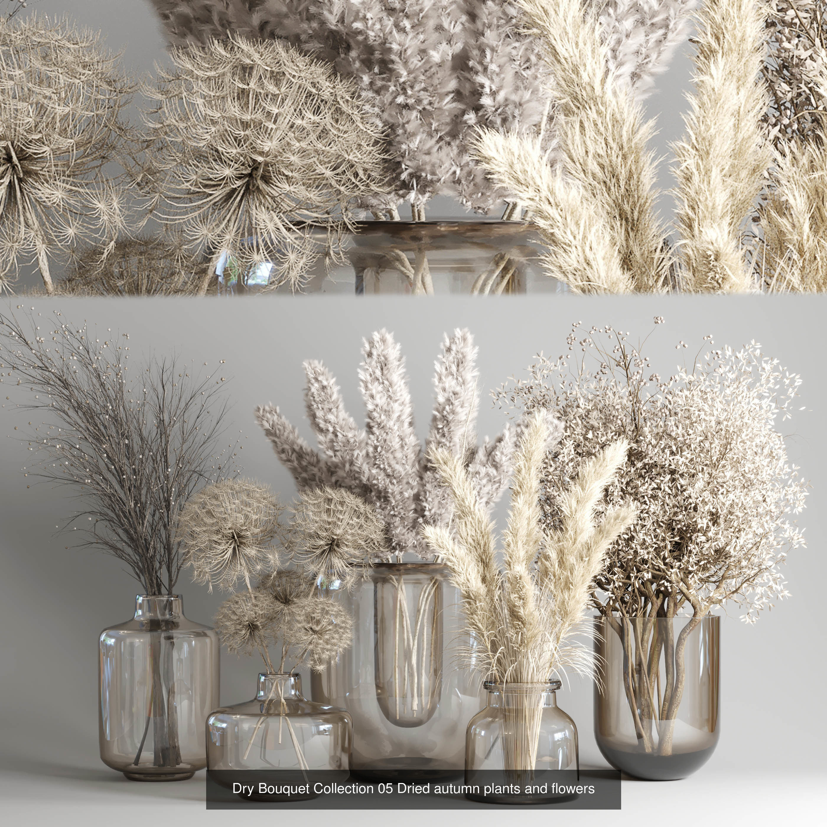 Plant and Dry Bouquet Collection Dried autumn plants _6