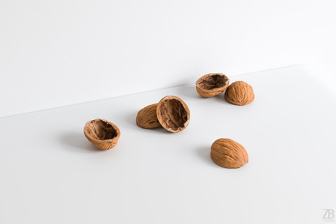Walnut 3D model