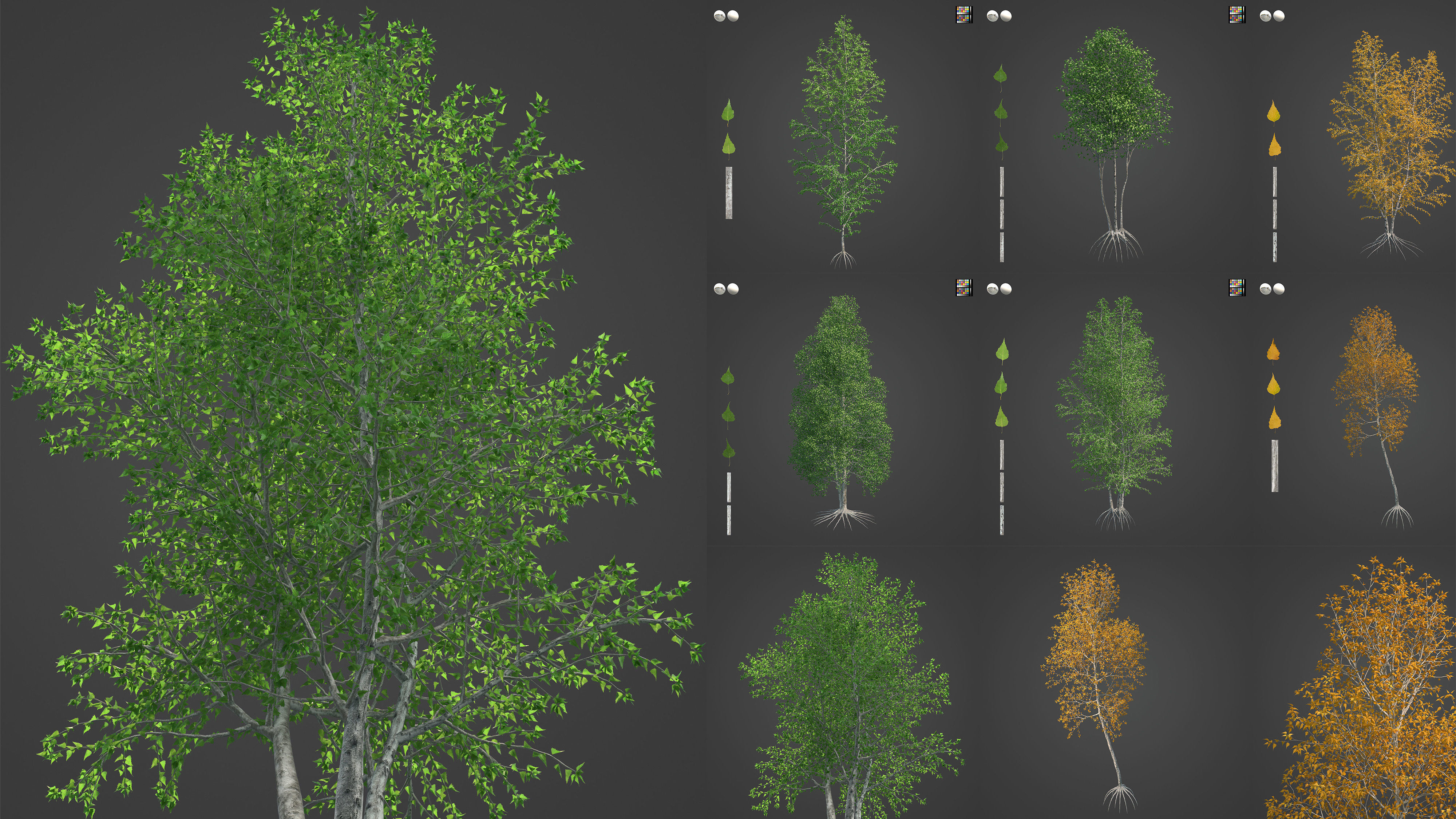 Xfrog Americas 3D Model Collection_4
