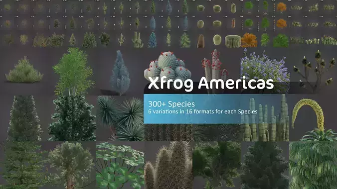 Xfrog Americas 3D Model Collection